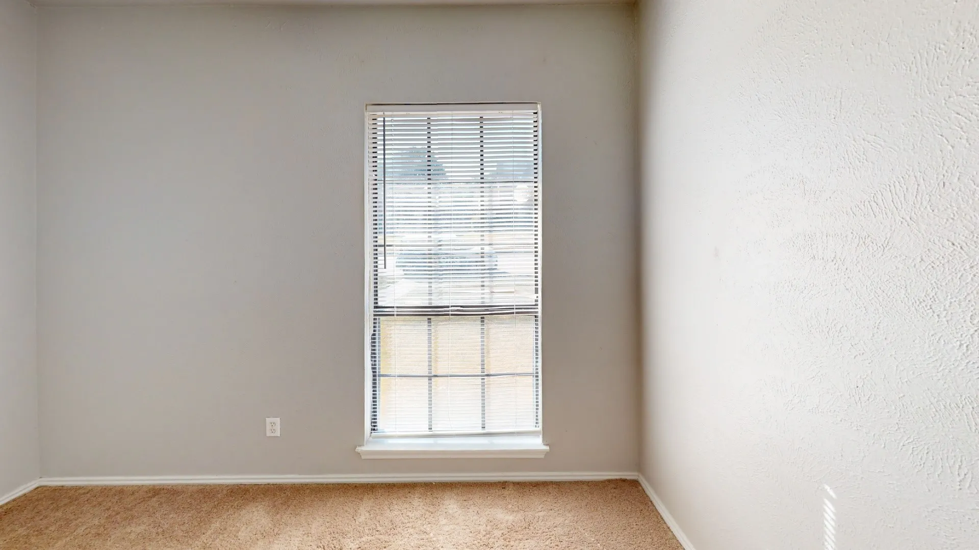 Carpeted flooring, neutral wall tones, window with horizontal blinds, and white trim throughout