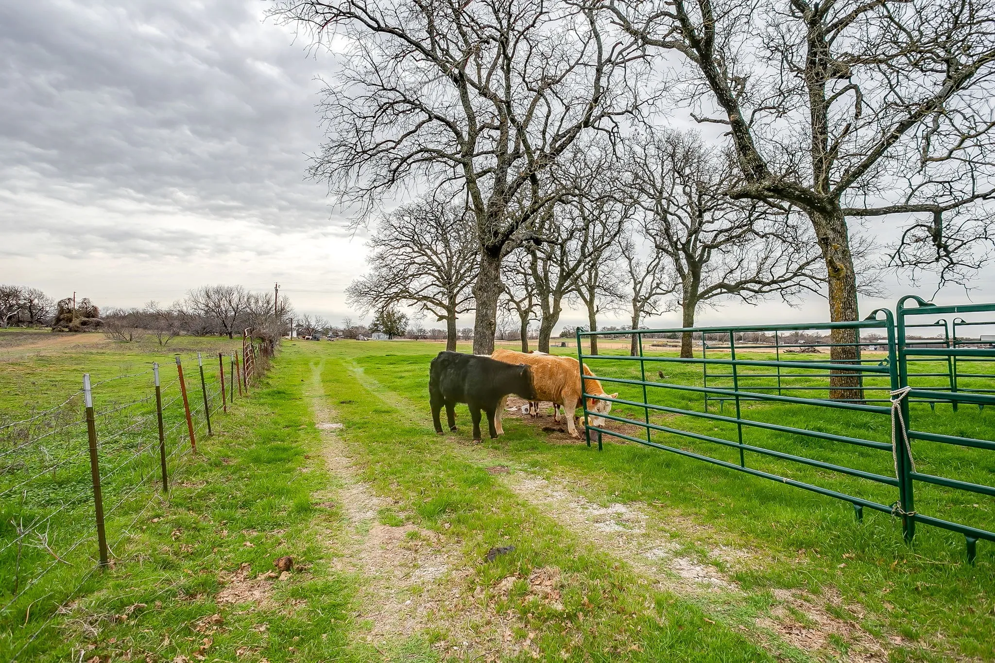 Improved Land For Sale in Parker County , TBD1 Middleton Court, Weatherford, Texas 76087, 0, 0, Garage spaces, 0 Sqft, built in 0, mls#21400439, Real Estate Agent in Weatherford, Homes For Sale in Parker county, Homes For Sale in Weatherford, Realtor in Weatherford Texas, Real Estate Brokerage Independent Realty Texas, Luminita Cordes Realtor