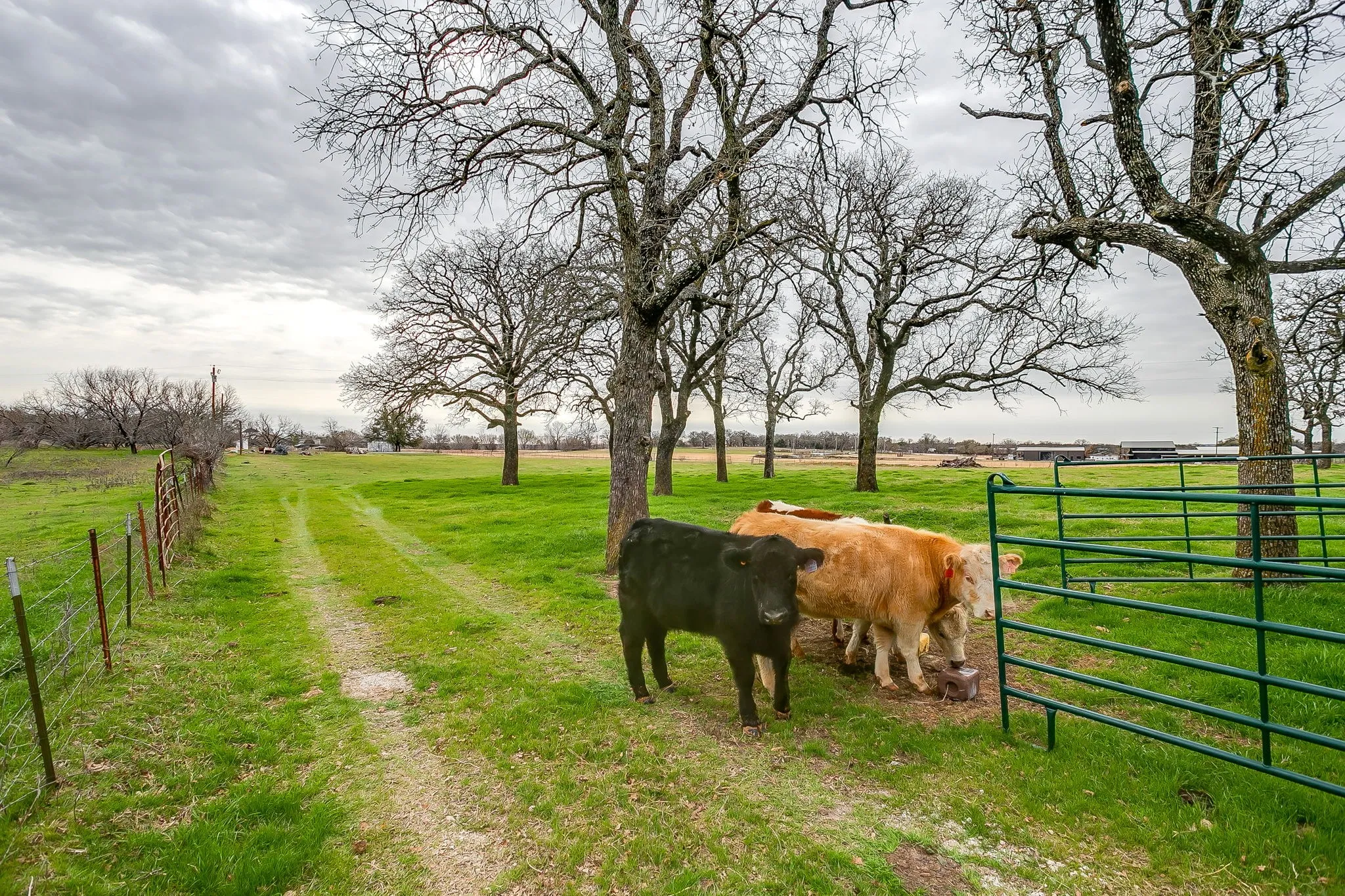 Improved Land For Sale in Parker County , TBD1 Middleton Court, Weatherford, Texas 76087, 0, 0, Garage spaces, 0 Sqft, built in 0, mls#21400439, Real Estate Agent in Weatherford, Homes For Sale in Parker county, Homes For Sale in Weatherford, Realtor in Weatherford Texas, Real Estate Brokerage Independent Realty Texas, Luminita Cordes Realtor
