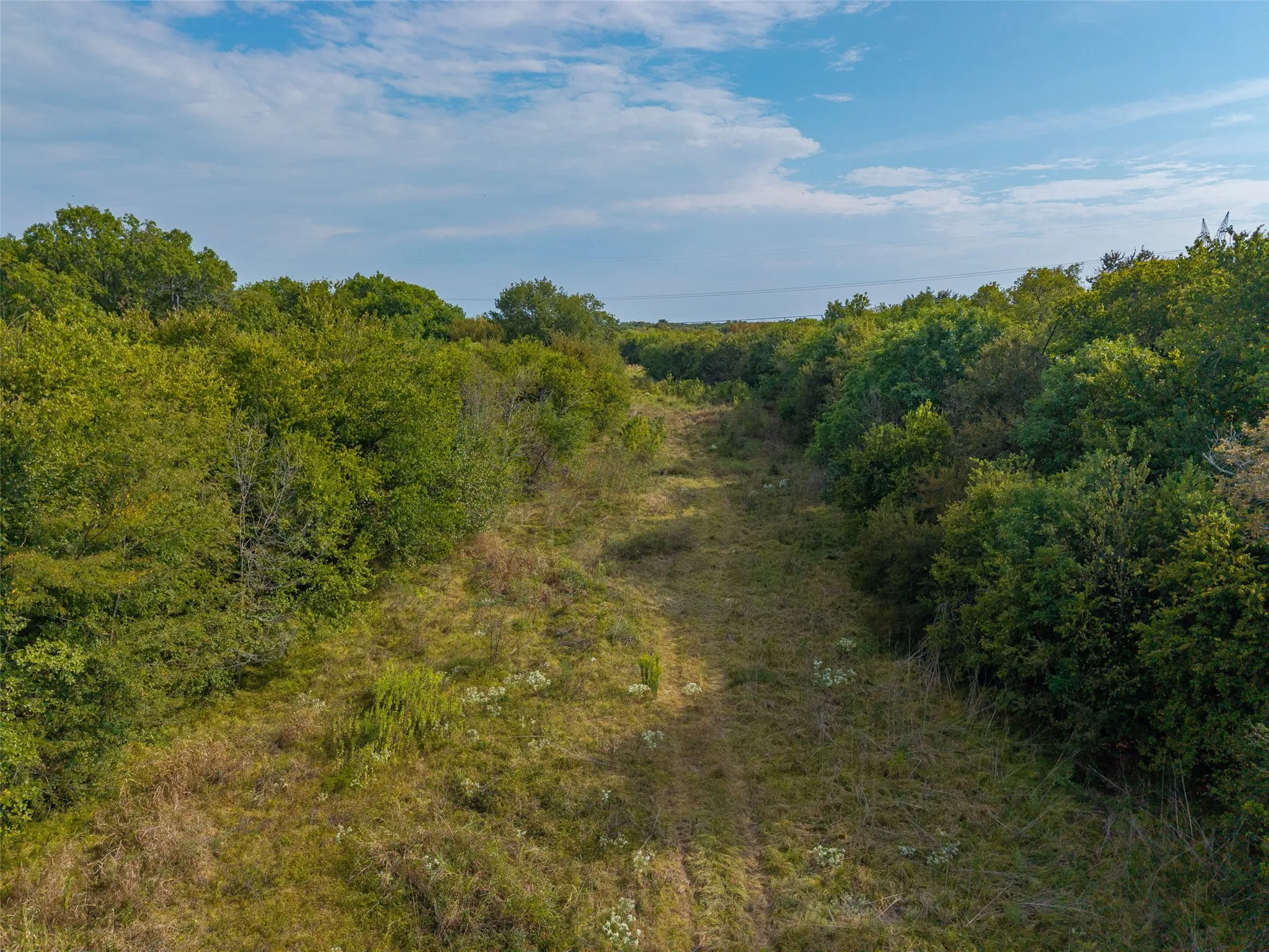 Unimproved Land For Sale in Hunt County , 31ACS Fm 1564, Caddo Mills, Texas 75135, 0, 0, Garage spaces, 0 Sqft, built in 0, mls#21398685, Real Estate Agent in Caddo Mills, Homes For Sale in Hunt county, Homes For Sale in Caddo Mills, Realtor in Caddo Mills Texas, Real Estate Brokerage Independent Realty Texas, Luminita Cordes Realtor