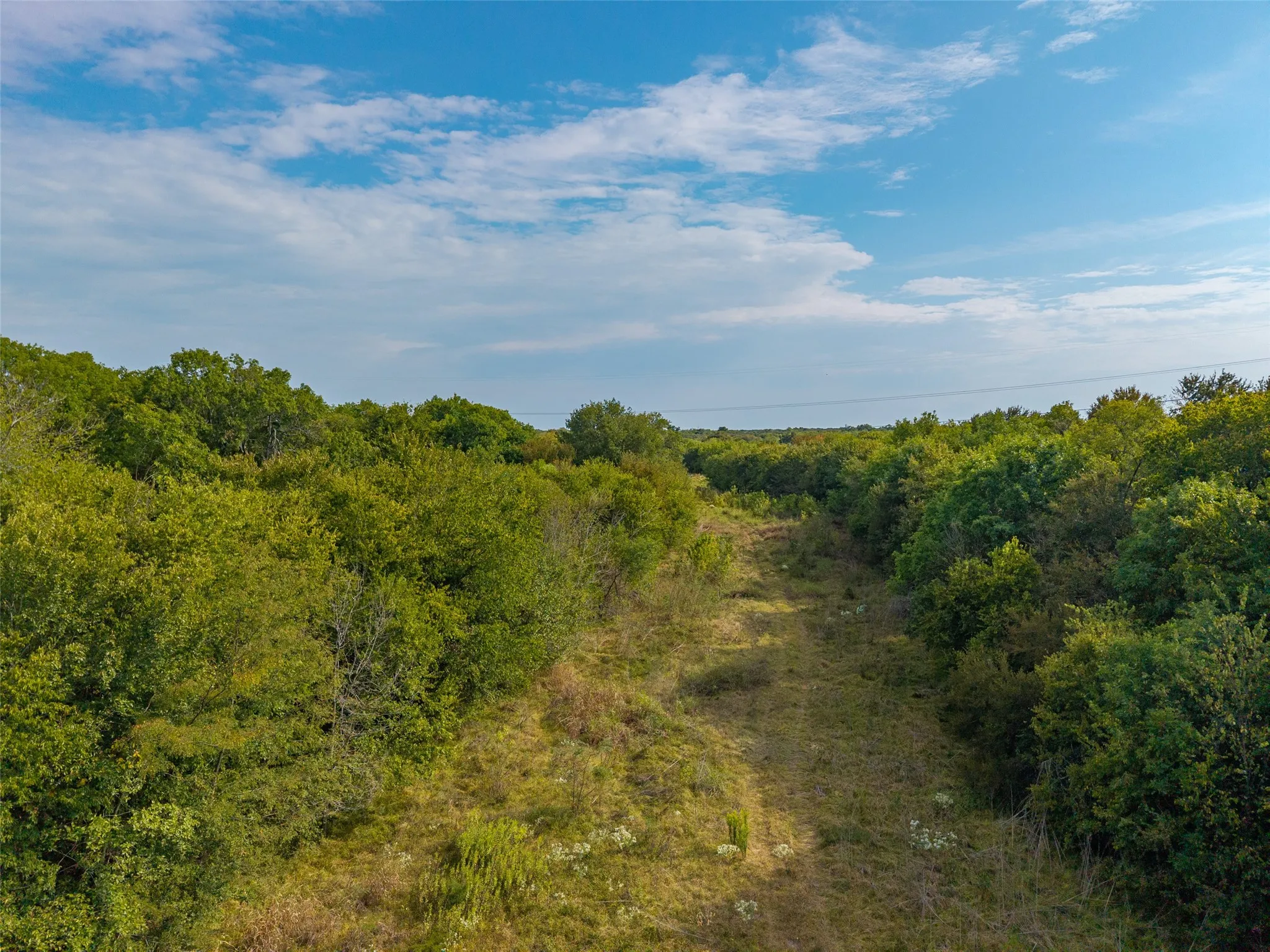 Unimproved Land For Sale in Hunt County , 31ACS Fm 1564, Caddo Mills, Texas 75135, 0, 0, Garage spaces, 0 Sqft, built in 0, mls#21398685, Real Estate Agent in Caddo Mills, Homes For Sale in Hunt county, Homes For Sale in Caddo Mills, Realtor in Caddo Mills Texas, Real Estate Brokerage Independent Realty Texas, Luminita Cordes Realtor