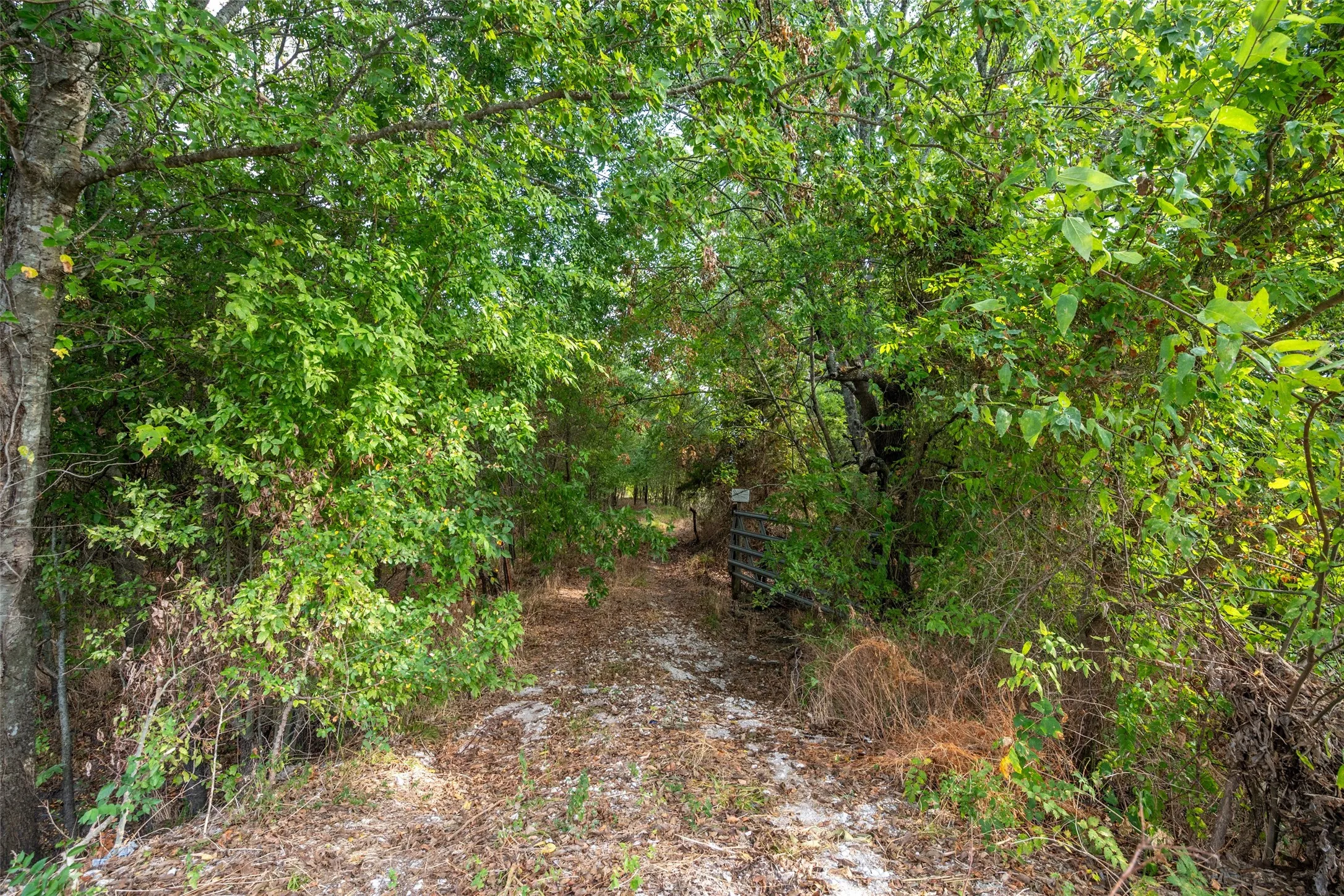 Gate to property