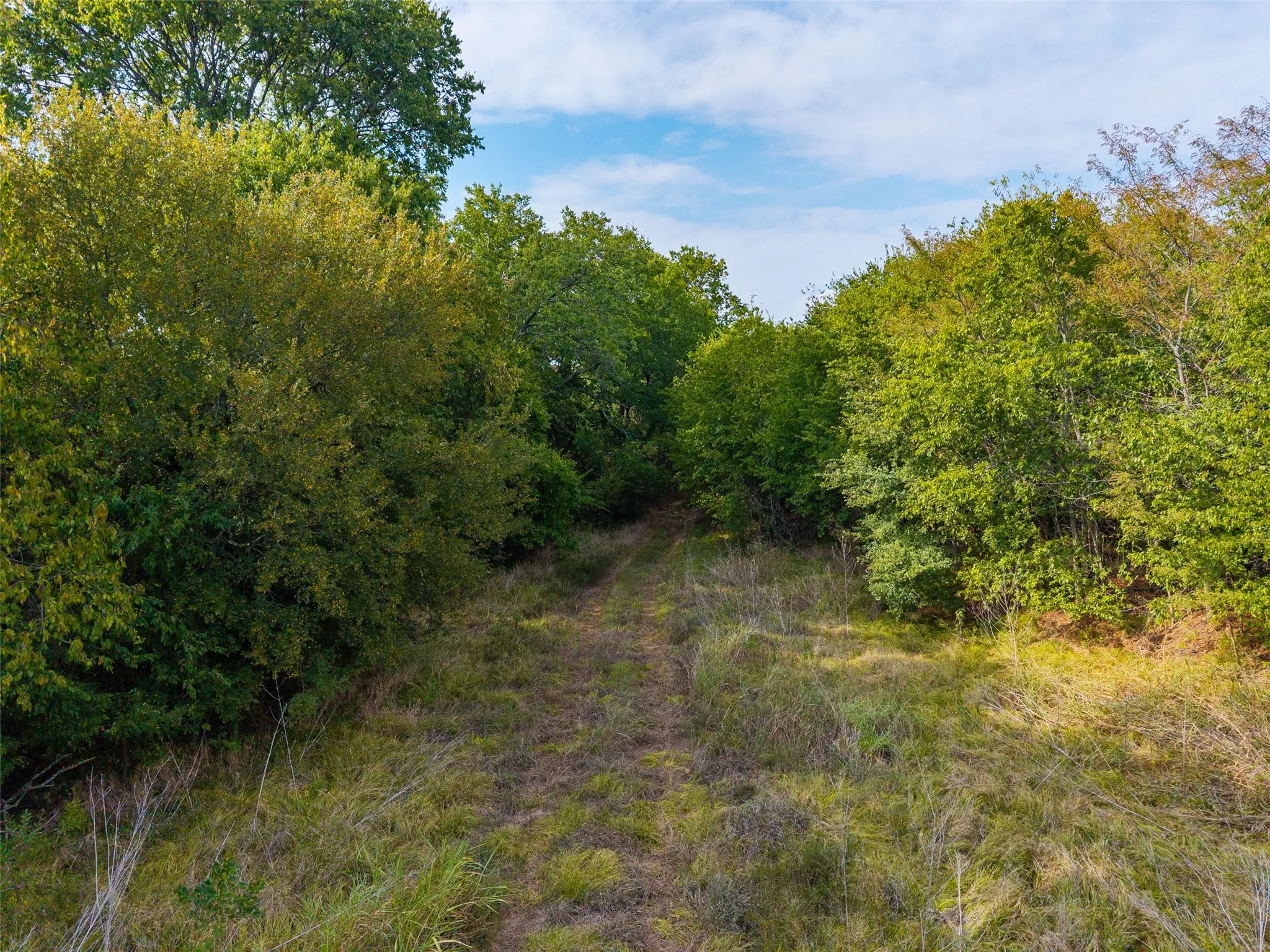 Unimproved Land For Sale in Hunt County , 31ACS Fm 1564, Caddo Mills, Texas 75135, 0, 0, Garage spaces, 0 Sqft, built in 0, mls#21398685, Real Estate Agent in Caddo Mills, Homes For Sale in Hunt county, Homes For Sale in Caddo Mills, Realtor in Caddo Mills Texas, Real Estate Brokerage Independent Realty Texas, Luminita Cordes Realtor