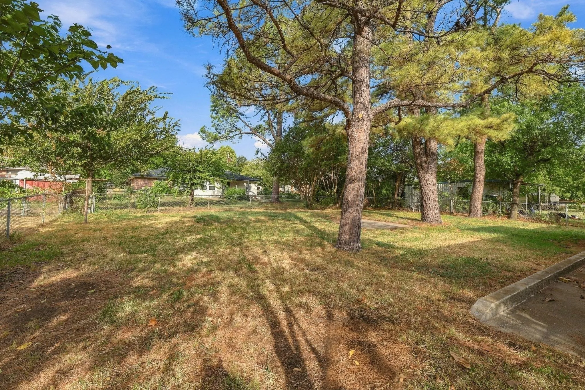 Large fenced backyard with plenty trees