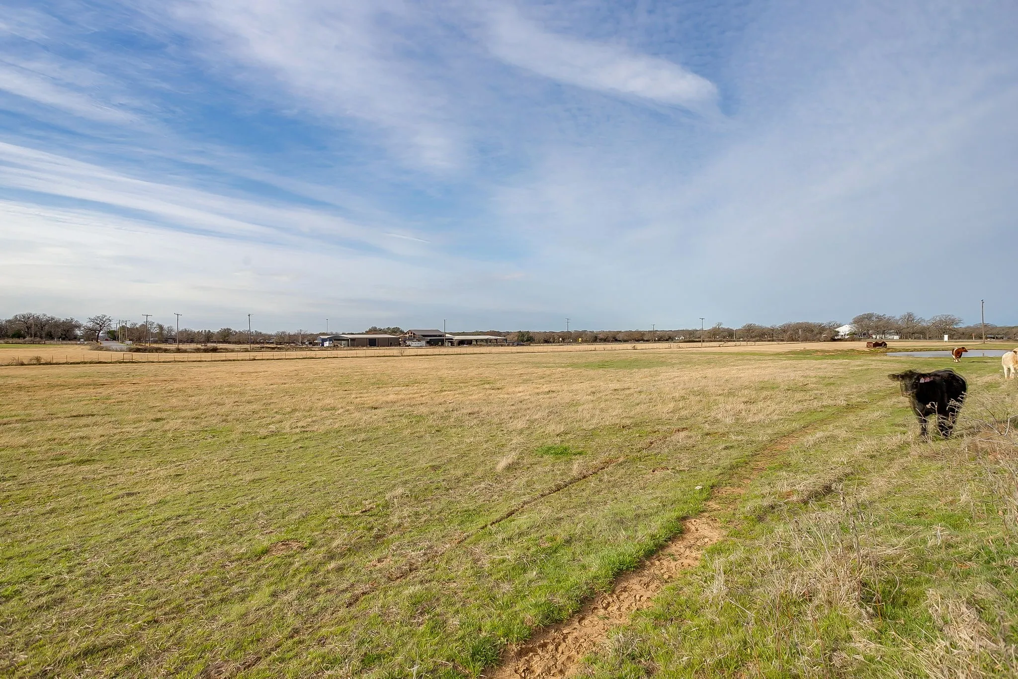 Unimproved Land For Sale in Parker County , TBD2 Middleton Court, Weatherford, Texas 76087, 0, 0, Garage spaces, 0 Sqft, built in 0, mls#21400467, Real Estate Agent in Weatherford, Homes For Sale in Parker county, Homes For Sale in Weatherford, Realtor in Weatherford Texas, Real Estate Brokerage Independent Realty Texas, Luminita Cordes Realtor