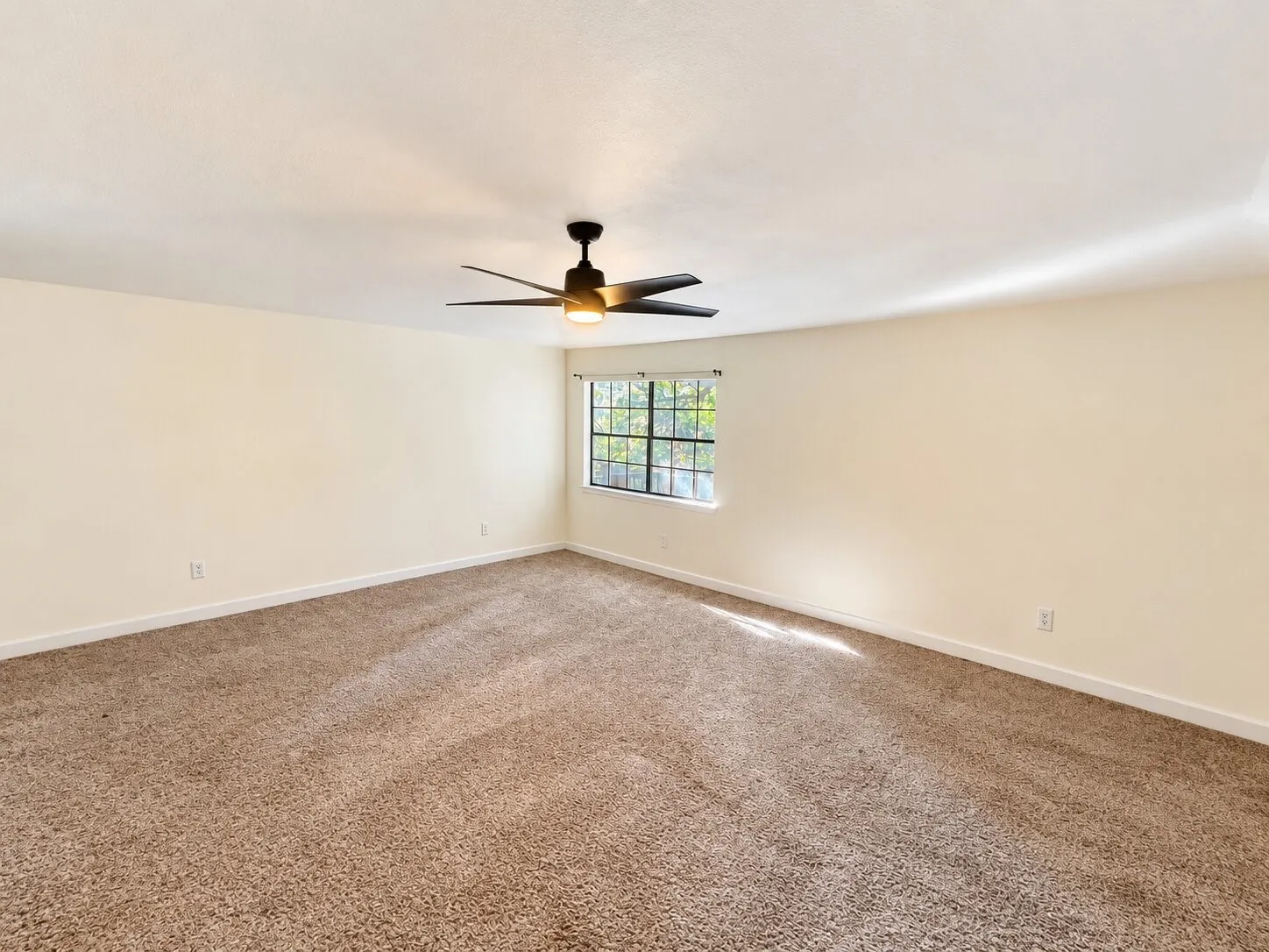 Expansive room with carpet flooring, a multi-pane window, and a ceiling fan with integrated lighting