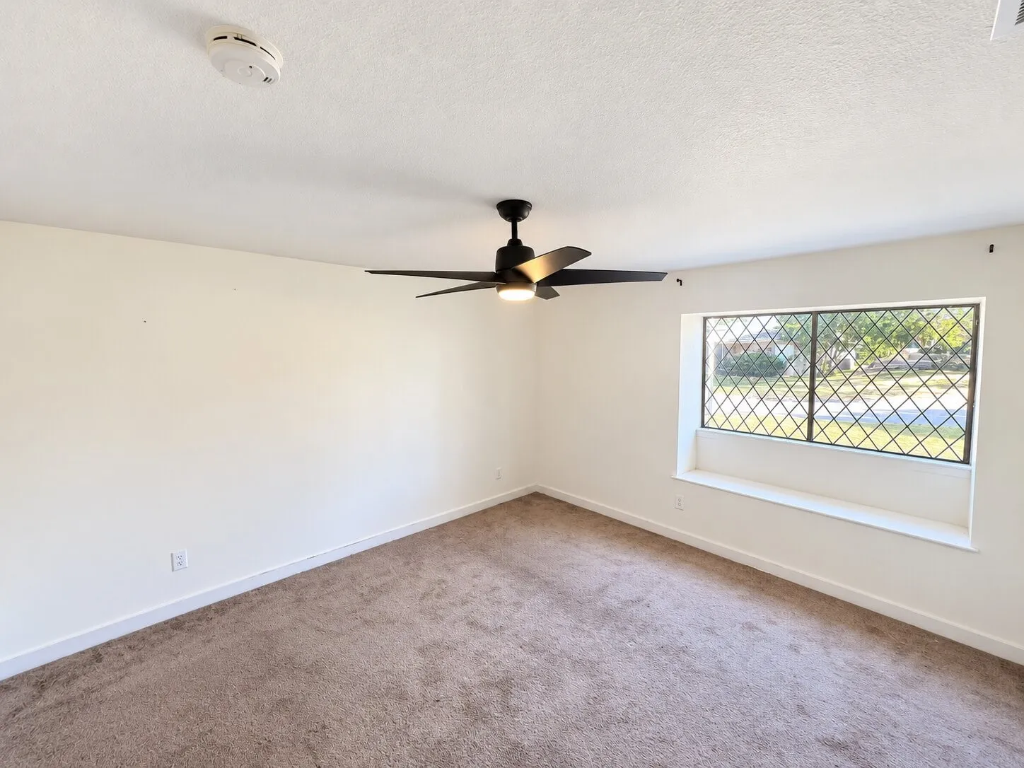 Wall-to-wall carpeting with contrasting baseboards, a ceiling-mounted fan with integrated lighting, and a window featuring a decorative gridded security screen