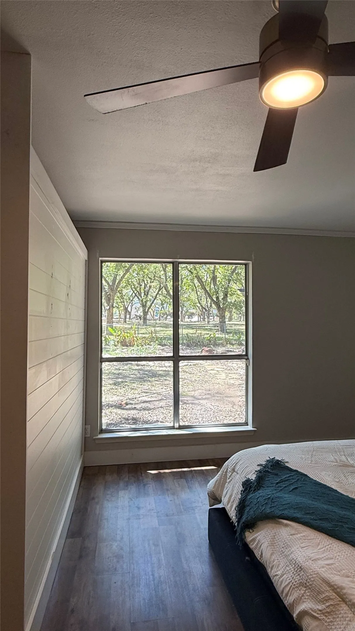 Ceiling fan with integrated lighting, wood-finish flooring, accent shiplap wall, and window with views of the backyard landscaping