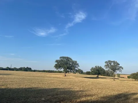 Unimproved Land For Sale in Parker County , 1300 Clover Drive, Poolville, Texas 76487, 0, 0, Garage spaces, 0 Sqft, built in 0, mls#21400524, Real Estate Agent in Poolville, Homes For Sale in Parker county, Homes For Sale in Poolville, Realtor in Poolville Texas, Real Estate Brokerage Independent Realty Texas, Luminita Cordes Realtor