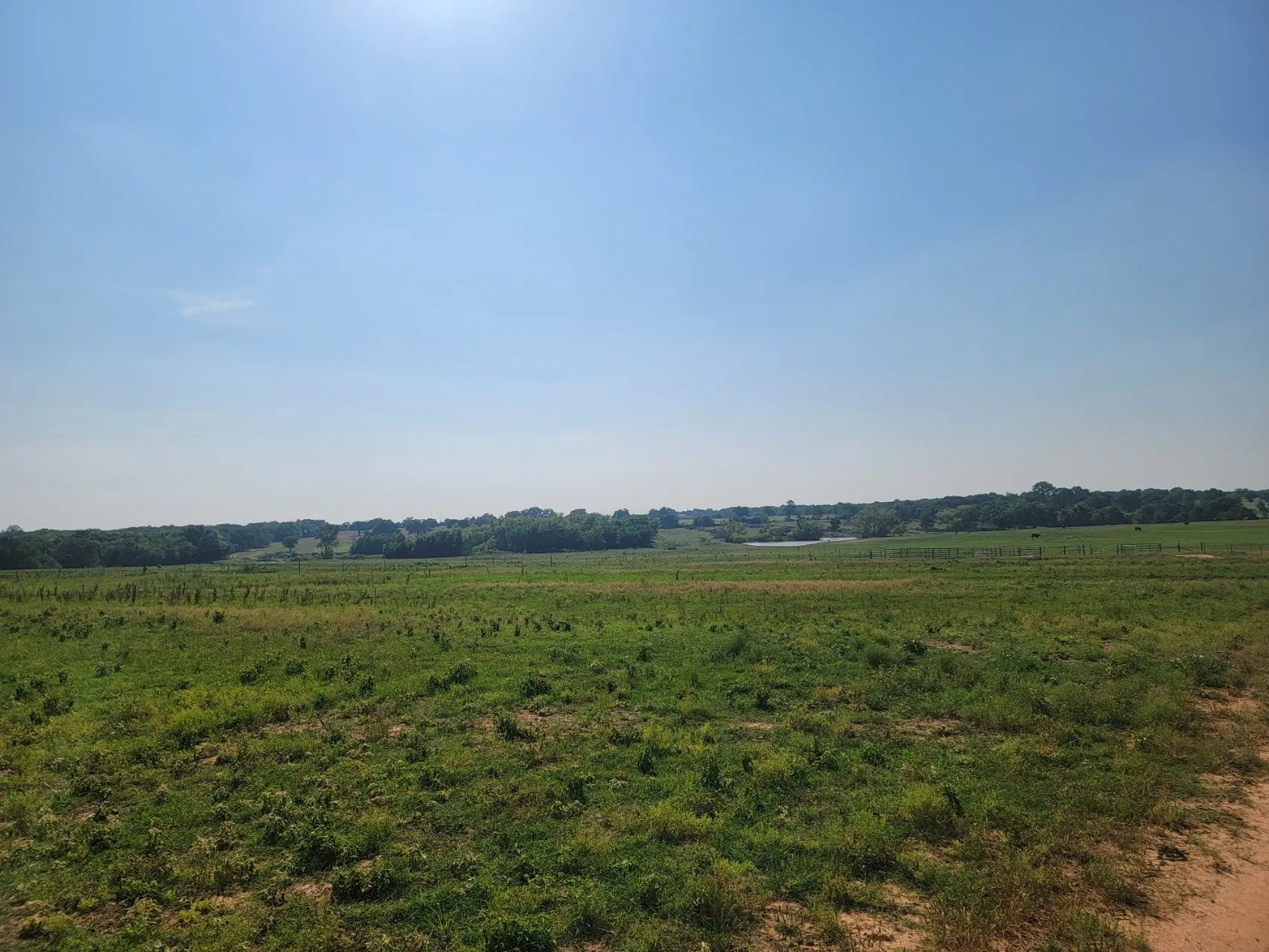 Unimproved Land For Sale in Parker County , 1300 Clover Drive, Poolville, Texas 76487, 0, 0, Garage spaces, 0 Sqft, built in 0, mls#21400524, Real Estate Agent in Poolville, Homes For Sale in Parker county, Homes For Sale in Poolville, Realtor in Poolville Texas, Real Estate Brokerage Independent Realty Texas, Luminita Cordes Realtor
