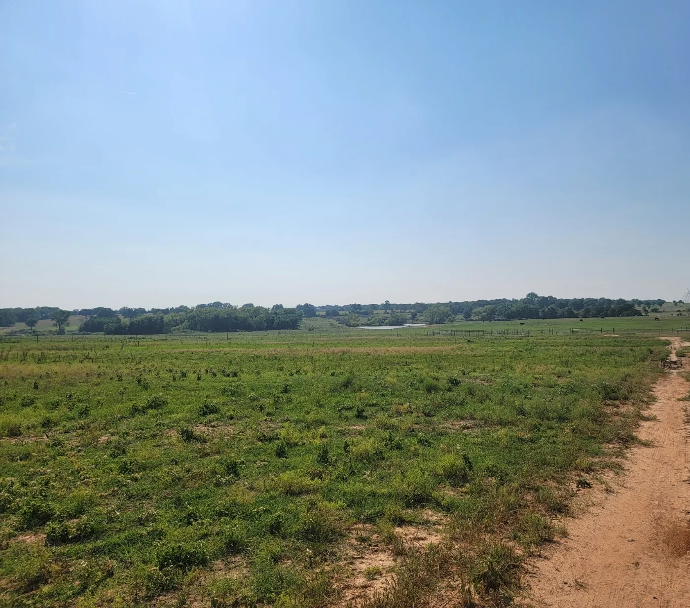 Unimproved Land For Sale in Parker County , 1300 Clover Drive, Poolville, Texas 76487, 0, 0, Garage spaces, 0 Sqft, built in 0, mls#21400524, Real Estate Agent in Poolville, Homes For Sale in Parker county, Homes For Sale in Poolville, Realtor in Poolville Texas, Real Estate Brokerage Independent Realty Texas, Luminita Cordes Realtor
