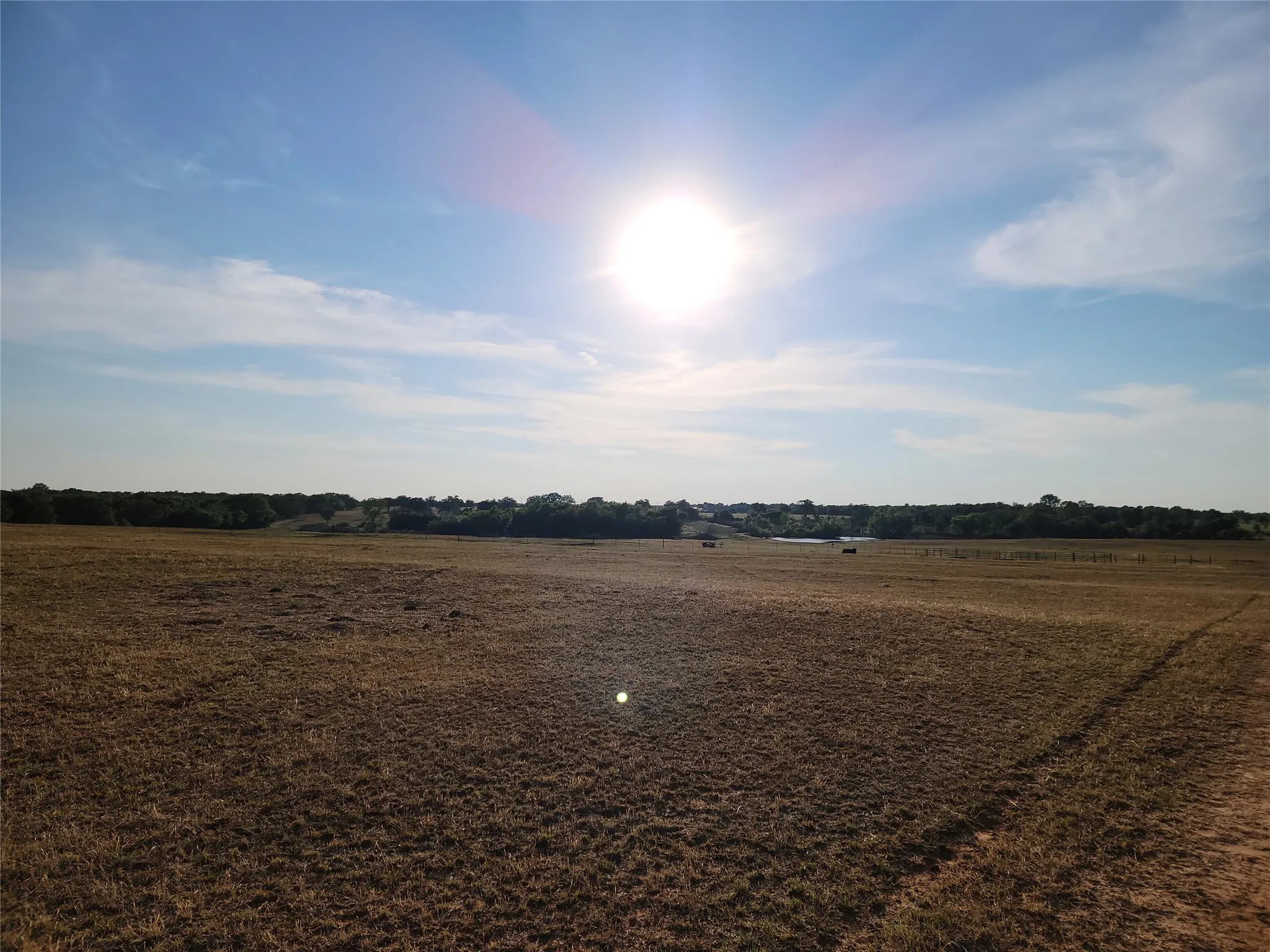 Unimproved Land For Sale in Parker County , 1300 Clover Drive, Poolville, Texas 76487, 0, 0, Garage spaces, 0 Sqft, built in 0, mls#21400524, Real Estate Agent in Poolville, Homes For Sale in Parker county, Homes For Sale in Poolville, Realtor in Poolville Texas, Real Estate Brokerage Independent Realty Texas, Luminita Cordes Realtor