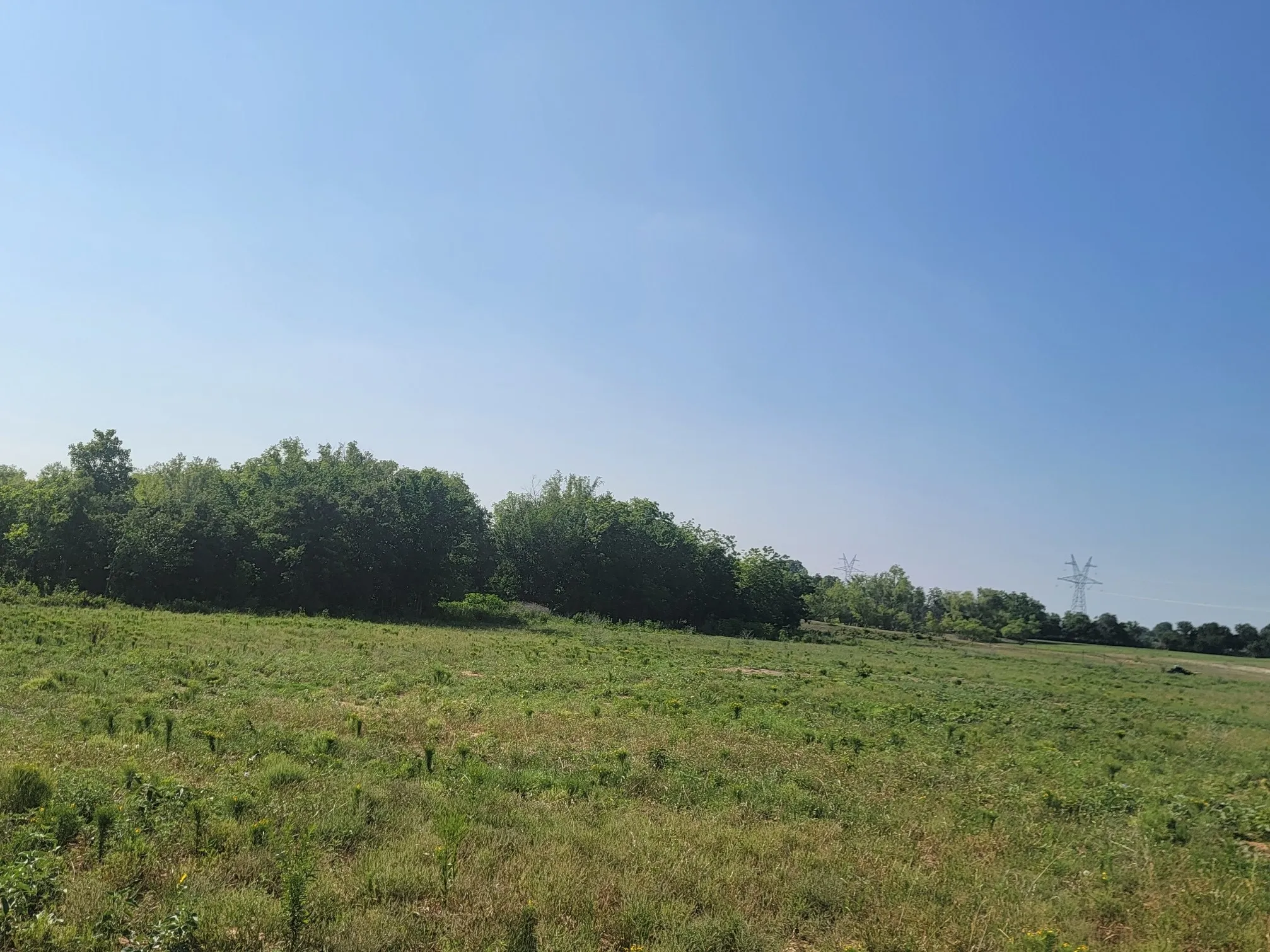 Unimproved Land For Sale in Parker County , 1300 Clover Drive, Poolville, Texas 76487, 0, 0, Garage spaces, 0 Sqft, built in 0, mls#21400524, Real Estate Agent in Poolville, Homes For Sale in Parker county, Homes For Sale in Poolville, Realtor in Poolville Texas, Real Estate Brokerage Independent Realty Texas, Luminita Cordes Realtor