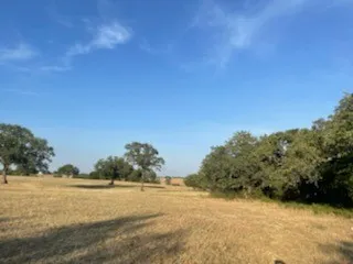 Unimproved Land For Sale in Parker County , 1300 Clover Drive, Poolville, Texas 76487, 0, 0, Garage spaces, 0 Sqft, built in 0, mls#21400524, Real Estate Agent in Poolville, Homes For Sale in Parker county, Homes For Sale in Poolville, Realtor in Poolville Texas, Real Estate Brokerage Independent Realty Texas, Luminita Cordes Realtor