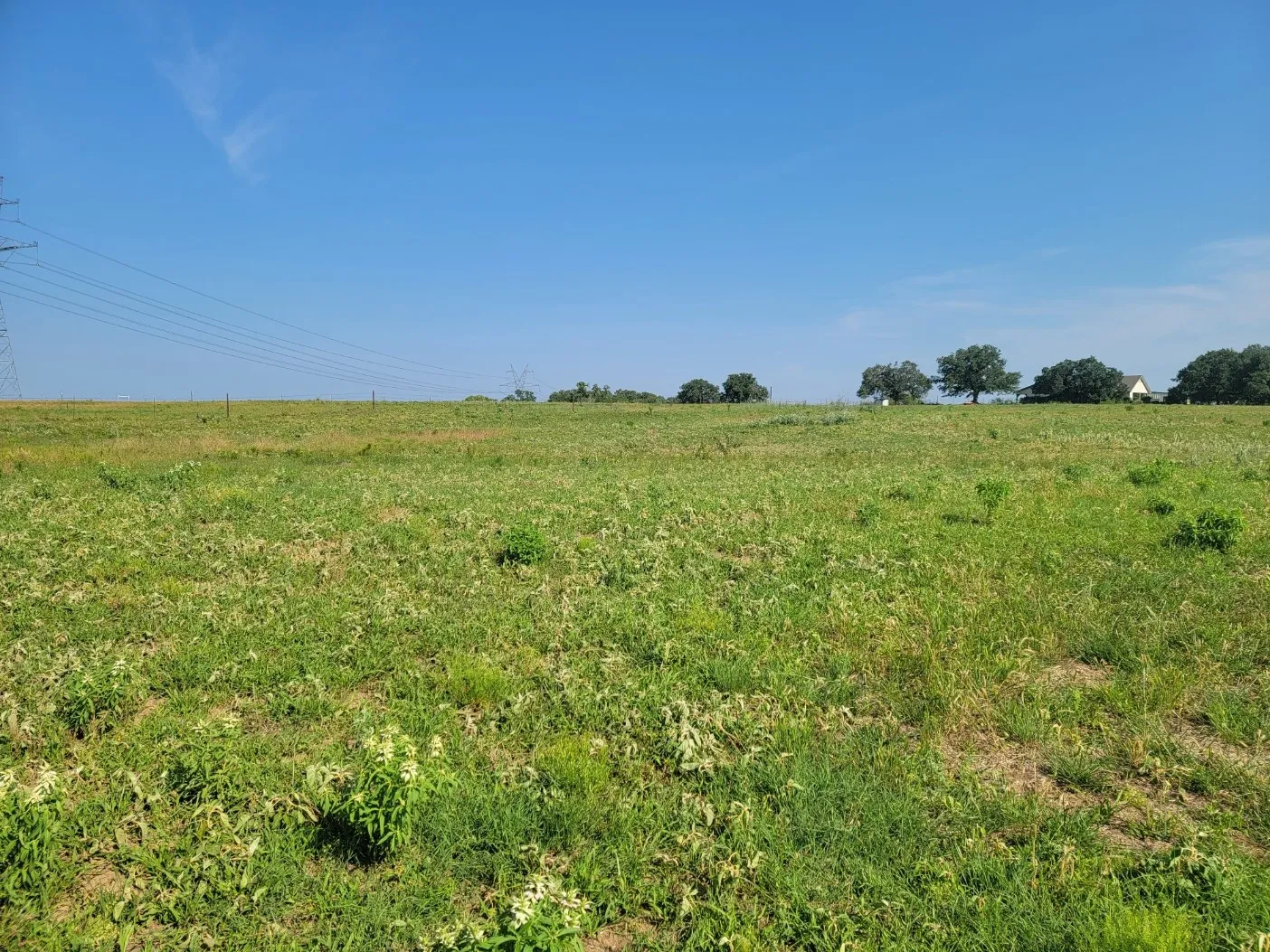 Unimproved Land For Sale in Parker County , 1300 Clover Drive, Poolville, Texas 76487, 0, 0, Garage spaces, 0 Sqft, built in 0, mls#21400524, Real Estate Agent in Poolville, Homes For Sale in Parker county, Homes For Sale in Poolville, Realtor in Poolville Texas, Real Estate Brokerage Independent Realty Texas, Luminita Cordes Realtor