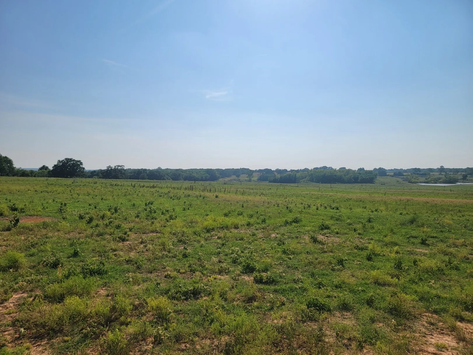 Unimproved Land For Sale in Parker County , 1300 Clover Drive, Poolville, Texas 76487, 0, 0, Garage spaces, 0 Sqft, built in 0, mls#21400524, Real Estate Agent in Poolville, Homes For Sale in Parker county, Homes For Sale in Poolville, Realtor in Poolville Texas, Real Estate Brokerage Independent Realty Texas, Luminita Cordes Realtor