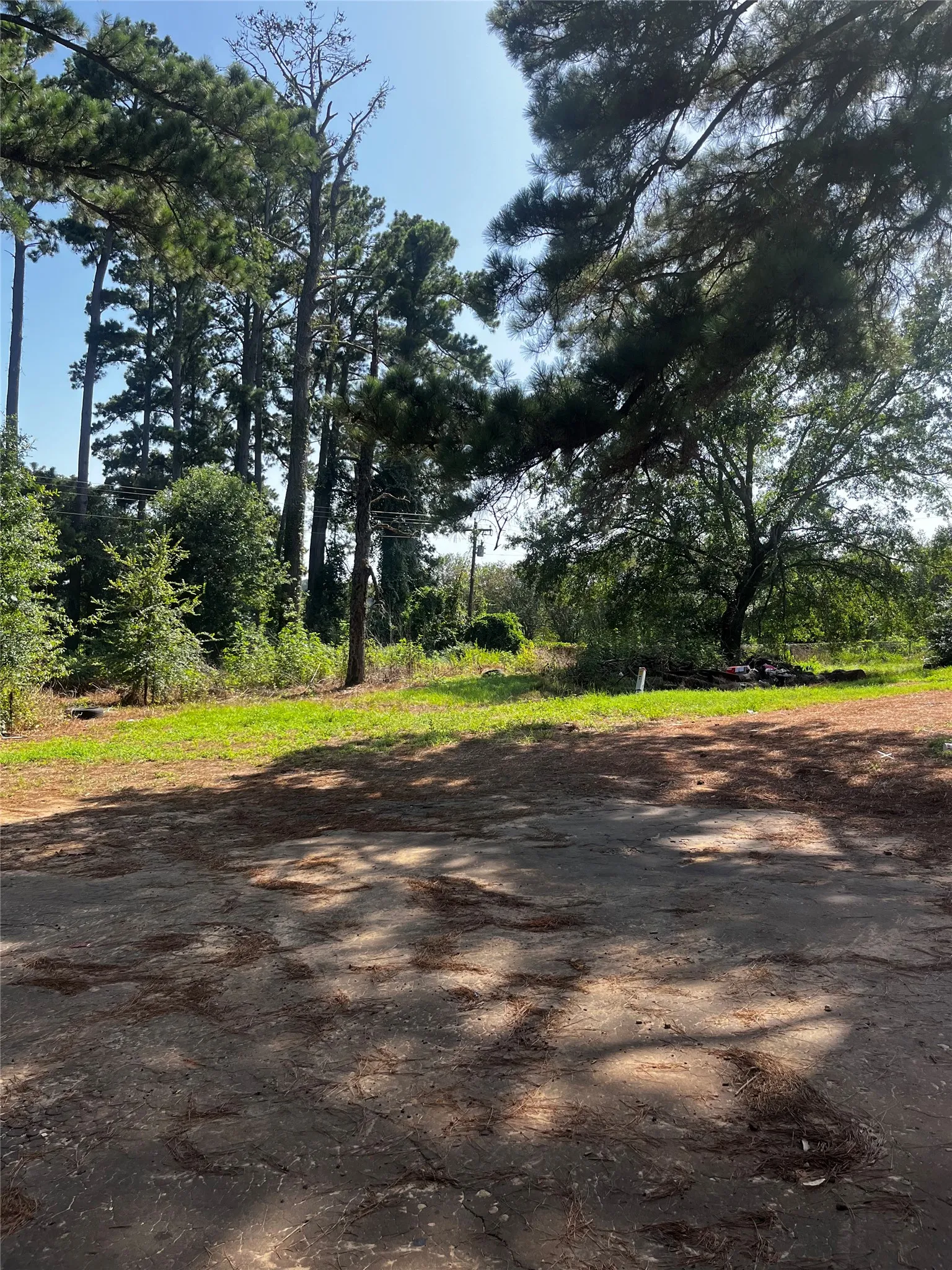Cleared land area with natural tree surrounds