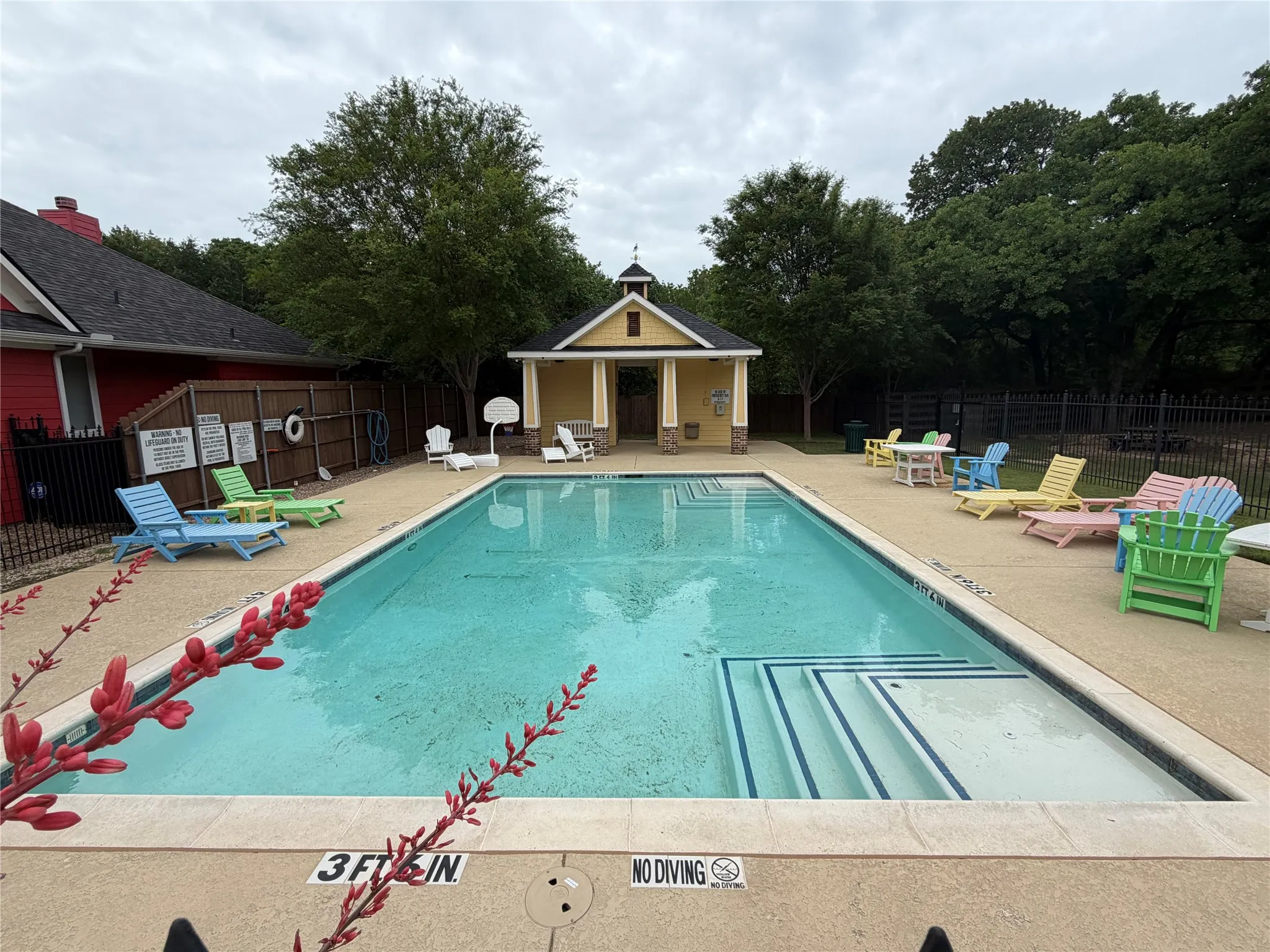 Rectangular swimming pool with integrated steps, concrete decking, and a poolside cabana