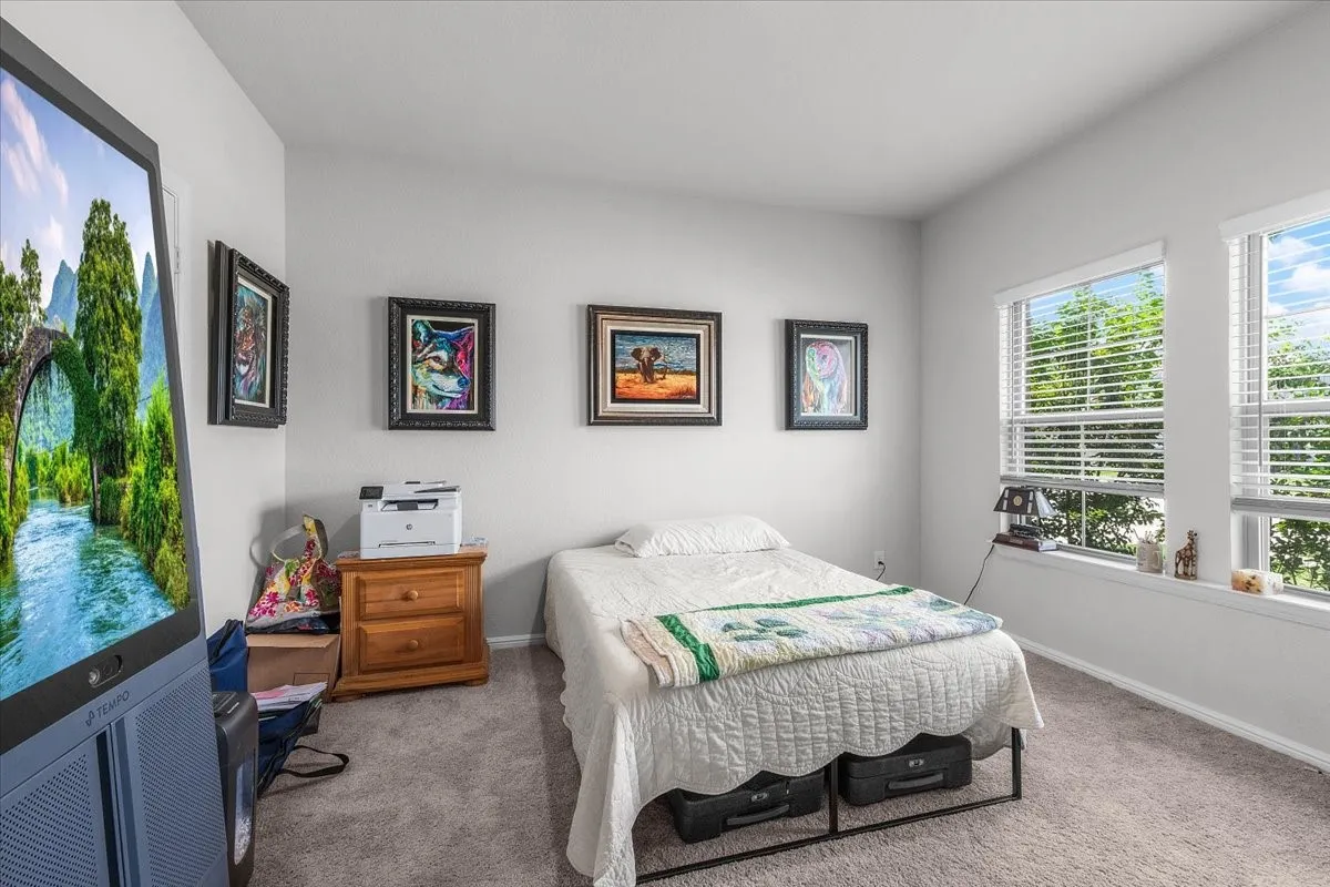 Carpeted room with multiple windows and light-toned walls