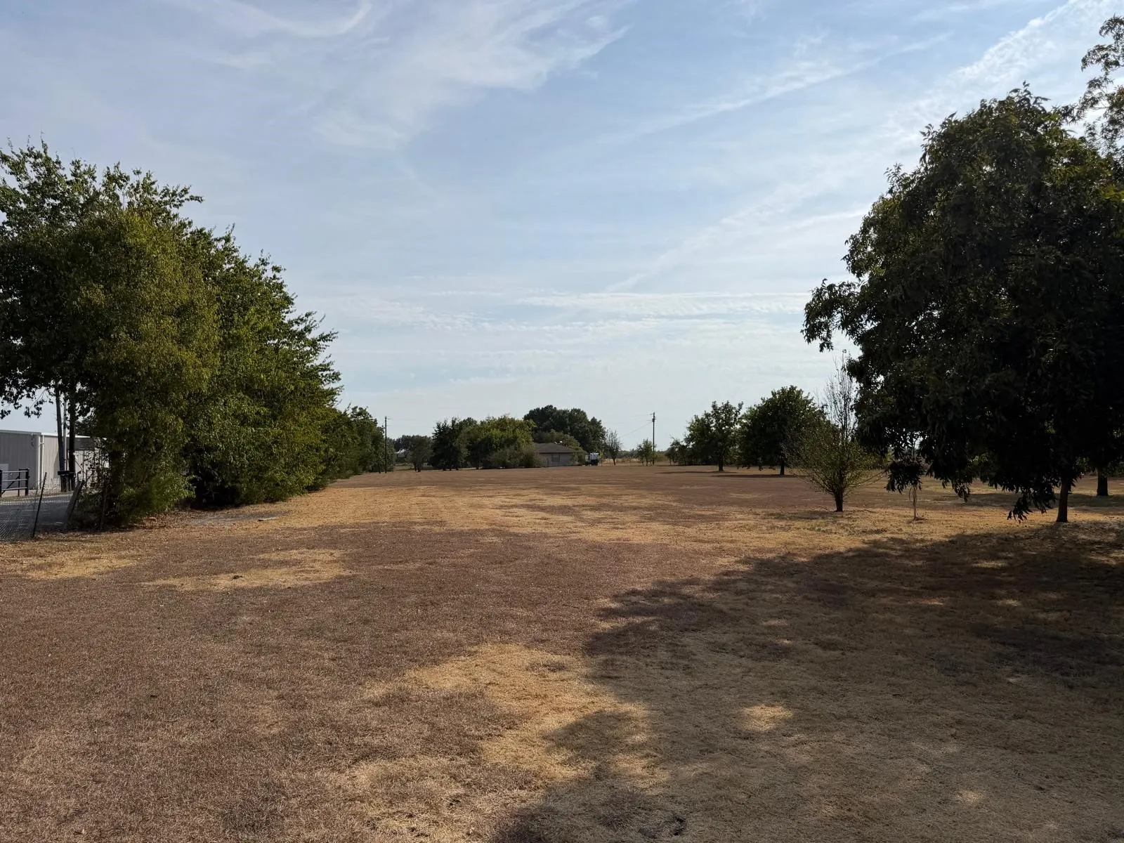 Expansive open land with scattered mature trees and distant structures