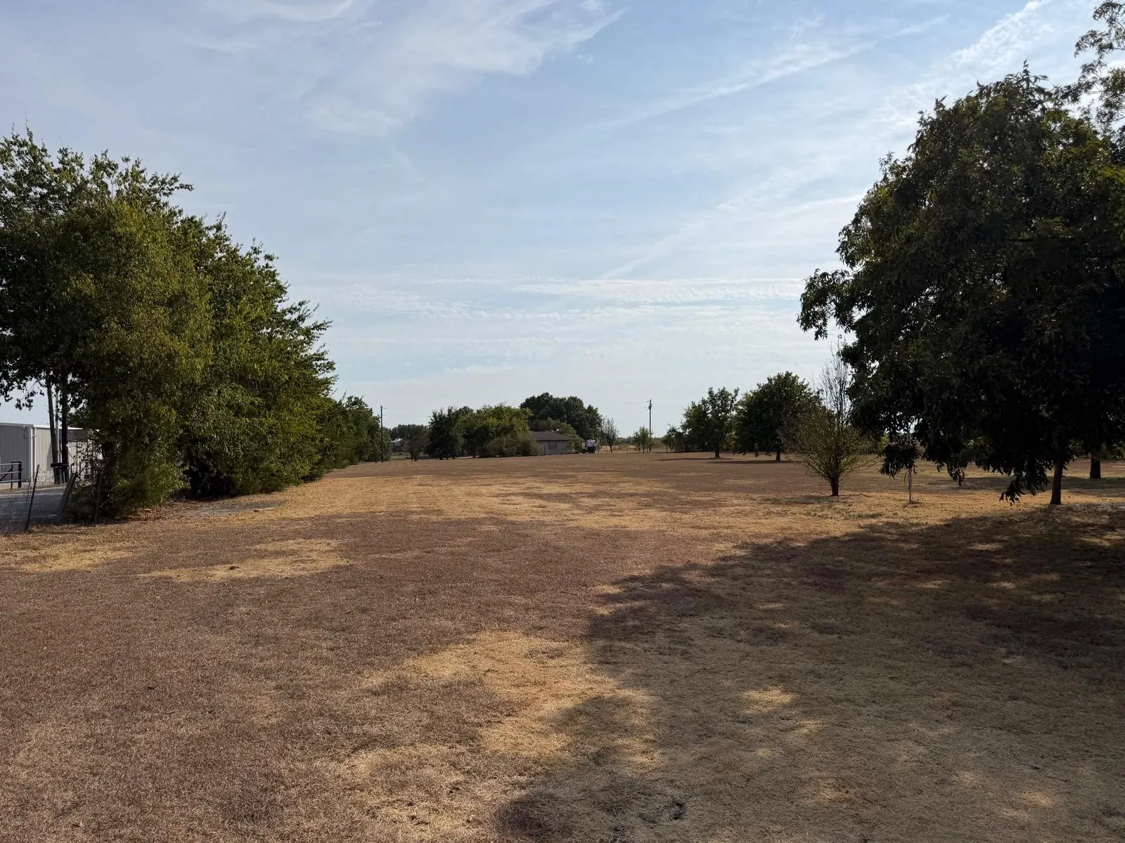 Expansive open lot with mature perimeter trees