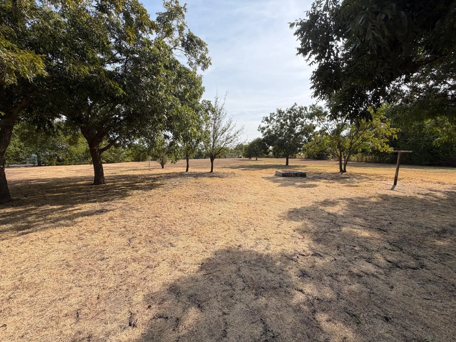 Expansive open lot featuring mature trees and a level ground surface