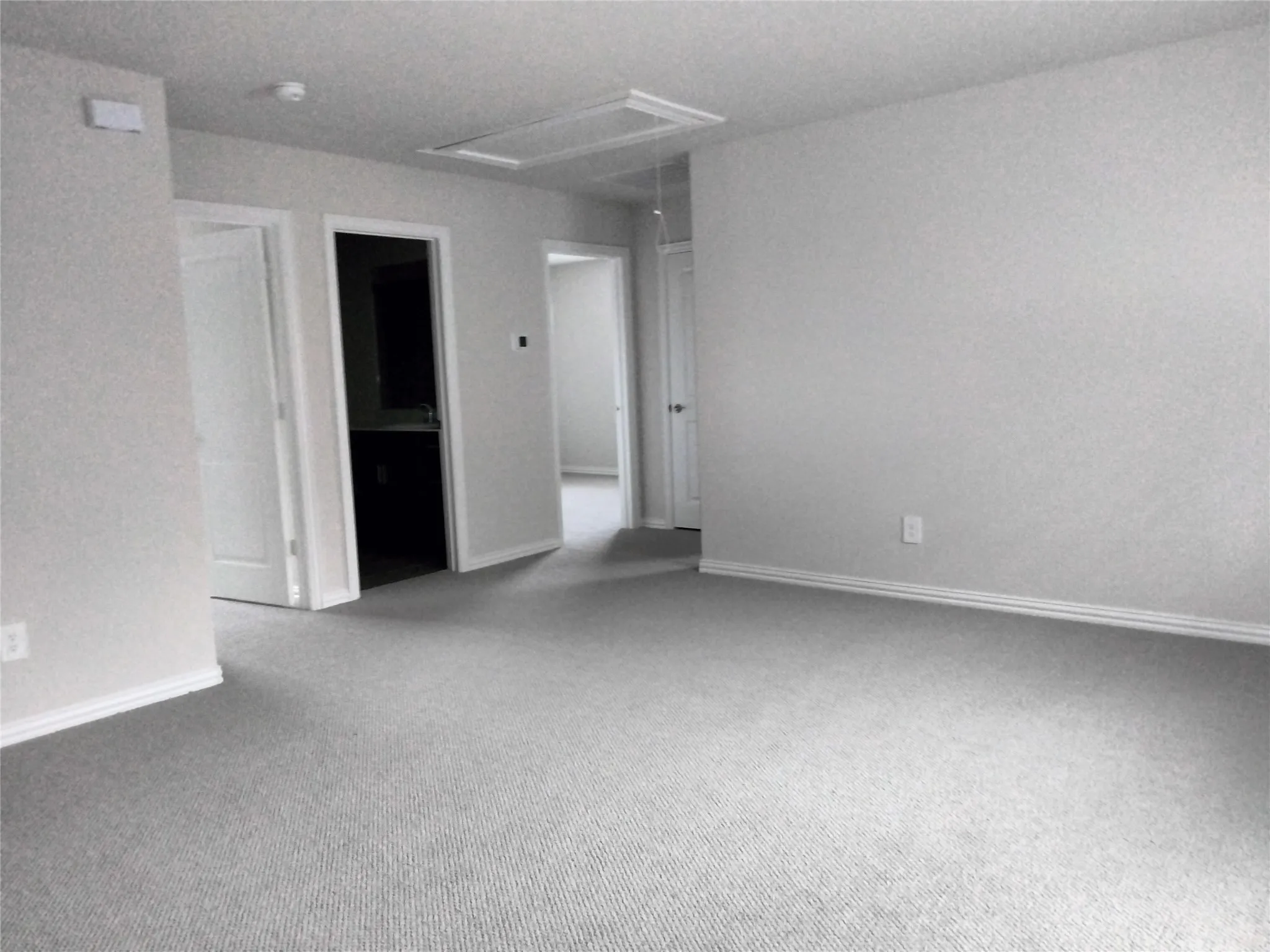 Expansive carpeted area with neutral wall finishes and multiple doorways