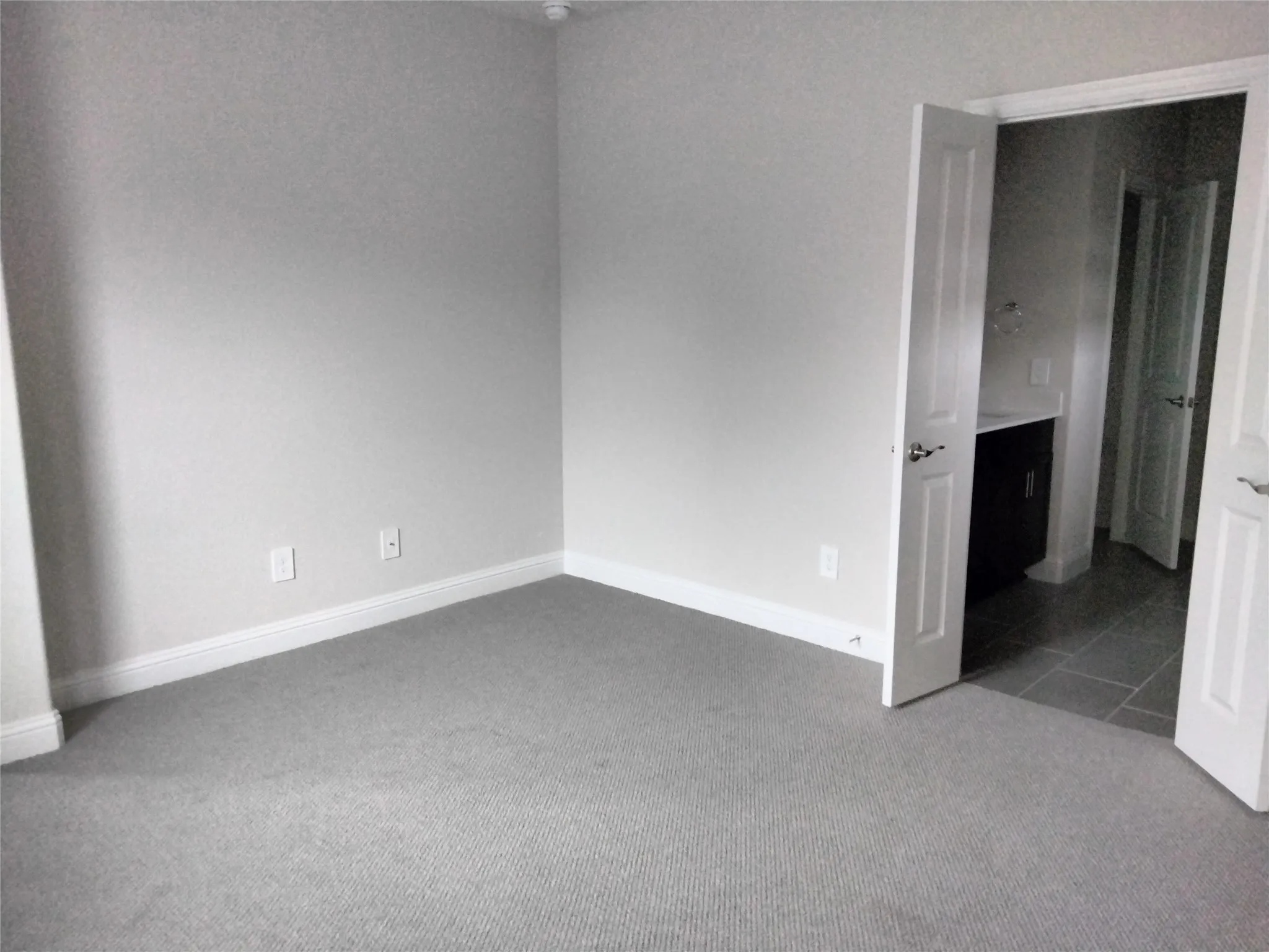 Gray carpeting, light gray wall paint, white trim, and white paneled doors