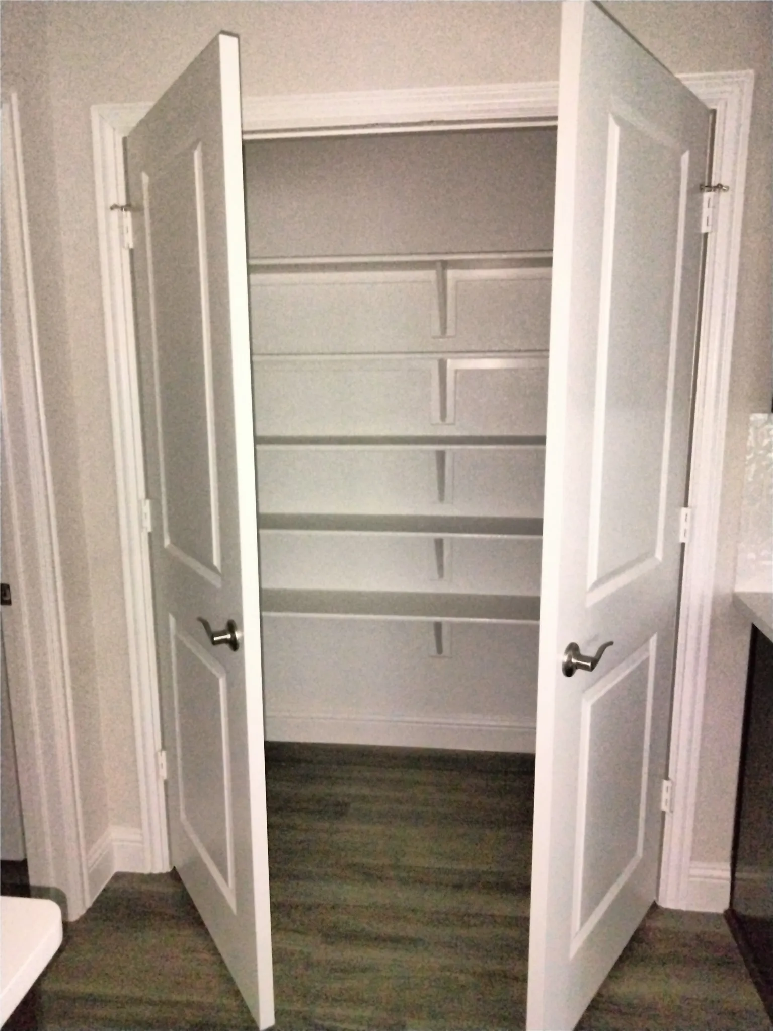 Double panel doors opening to a storage area with built-in shelving and wood-finish flooring
