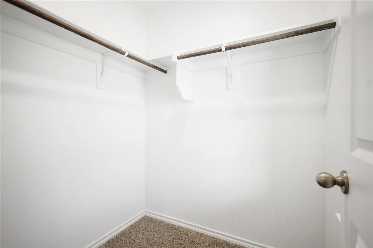 Walk-in closet featuring dual hanging rods, built-in shelving, carpet flooring, and a paneled door with a brass-finish knob