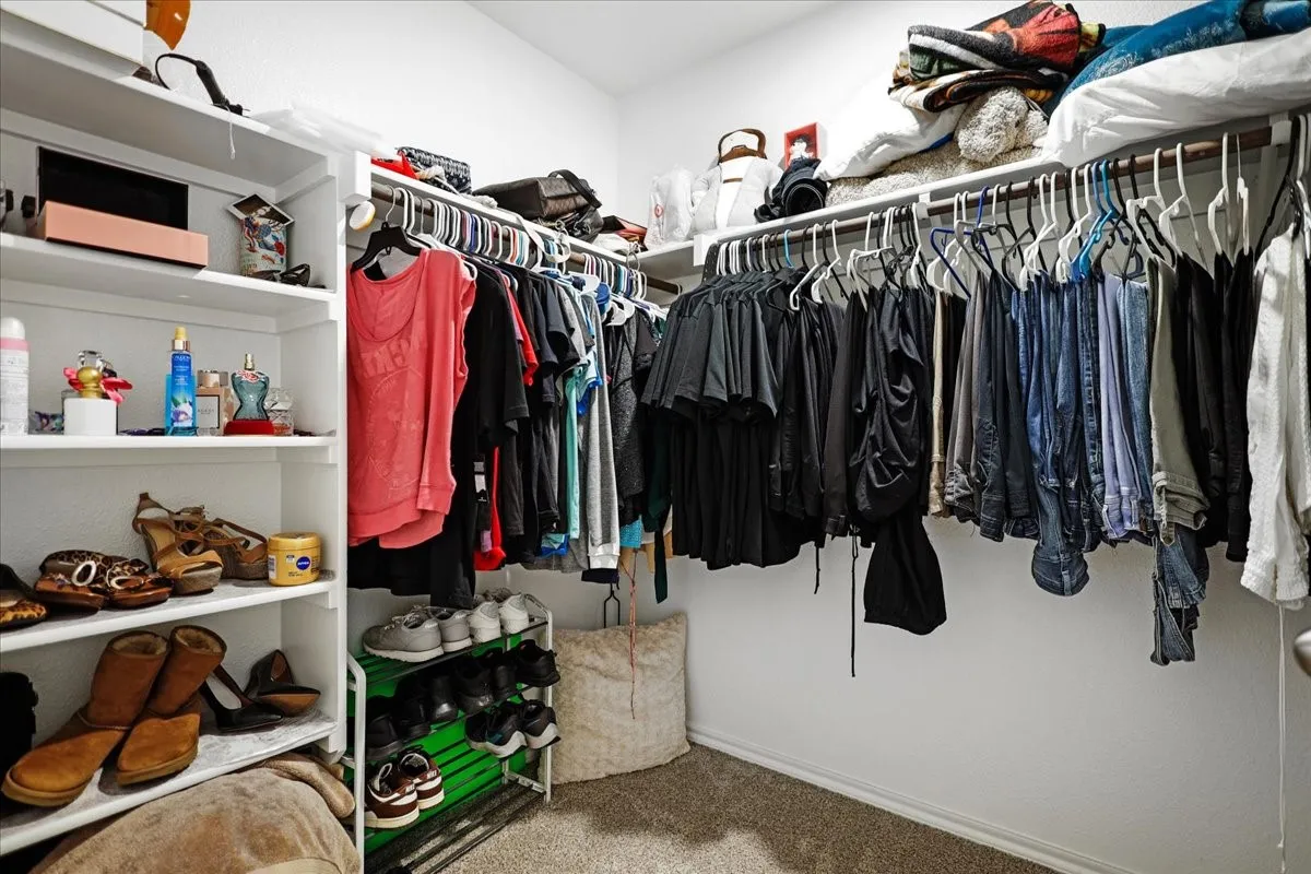 Walk-in closet featuring built-in shelving, carpet flooring, and clothing rods
