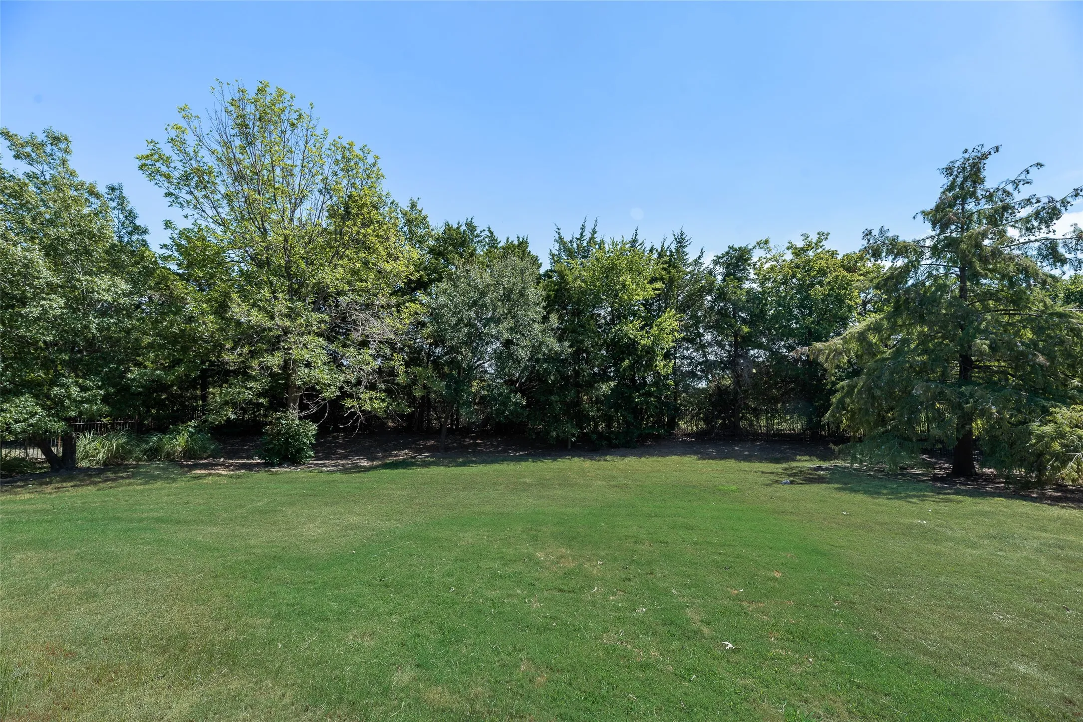 Expansive lawn surrounded by mature trees