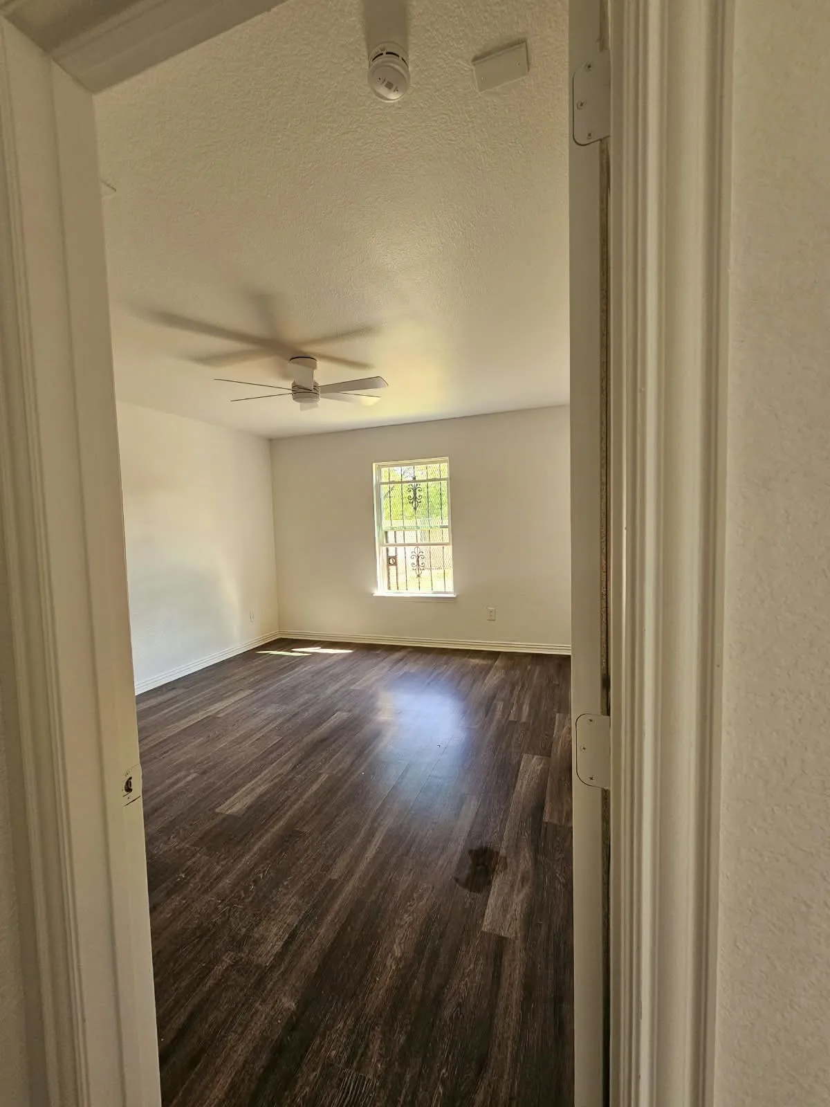Expansive room featuring wood-finish flooring, a ceiling fan, and a window with security bars