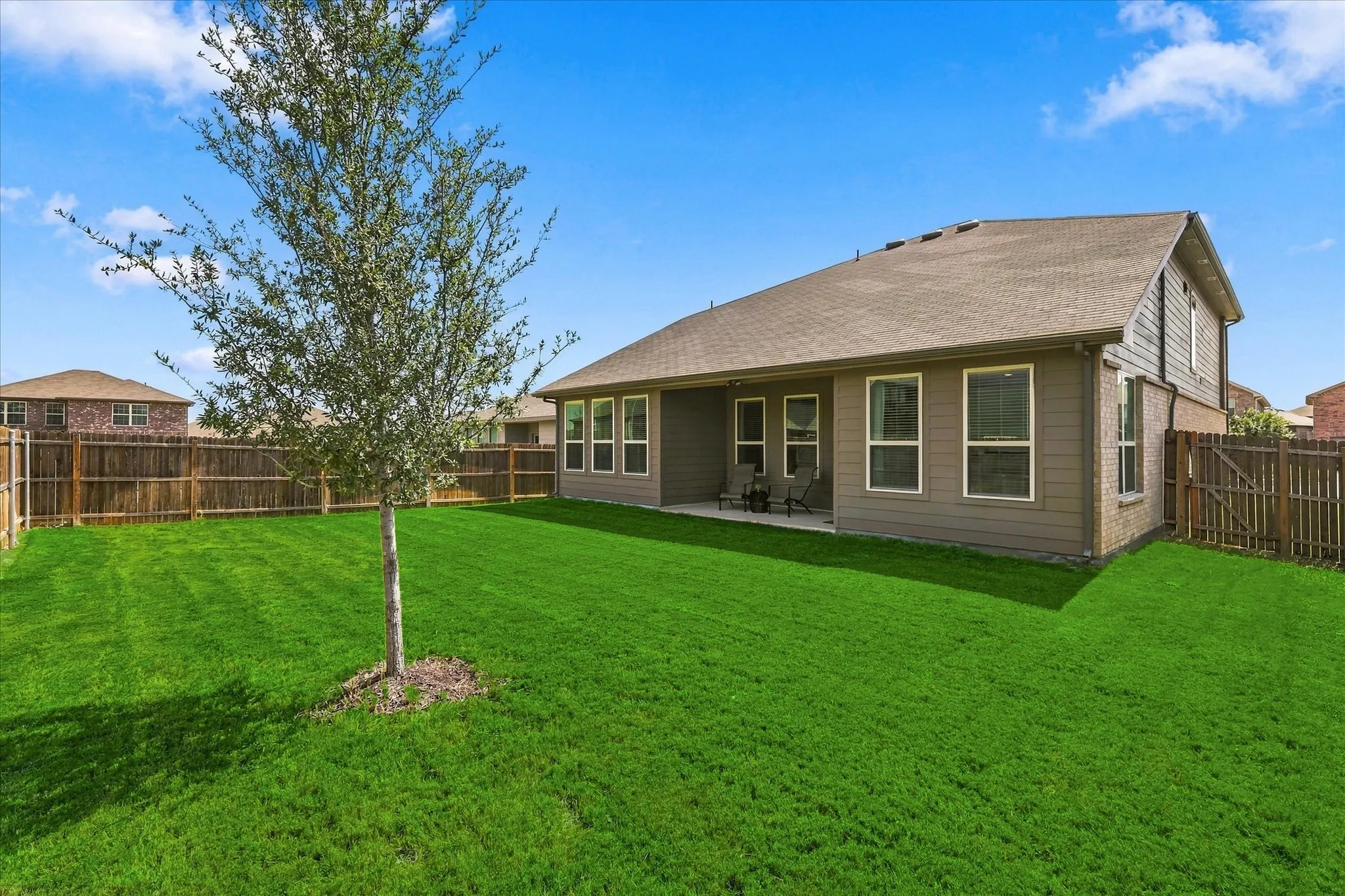 Expansive grass lawn with a young tree, leading to a covered patio