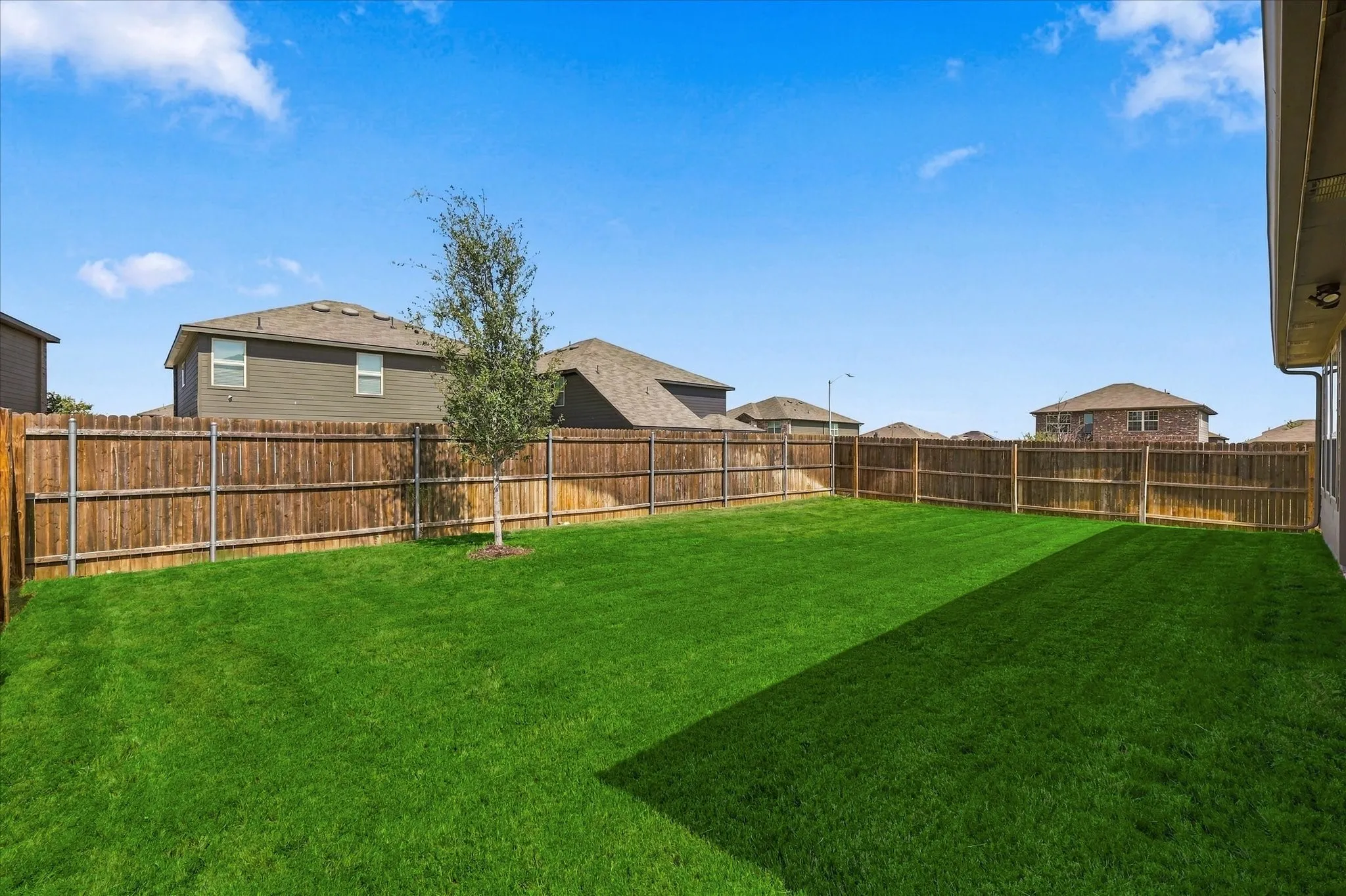 Expansive backyard featuring a manicured lawn, full privacy fencing, and a young tree