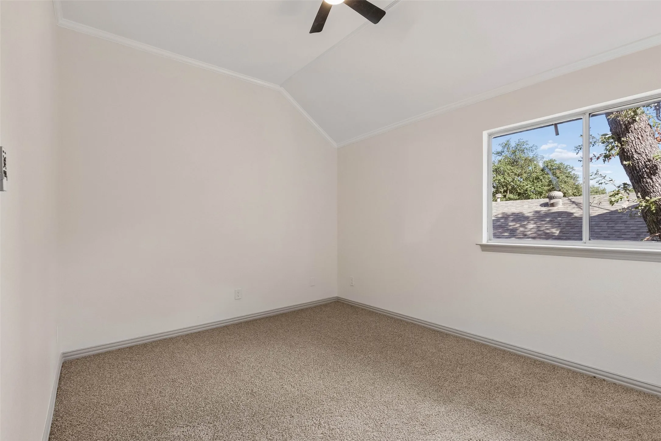 Vaulted ceiling, carpeted flooring, ceiling fan, and a large window