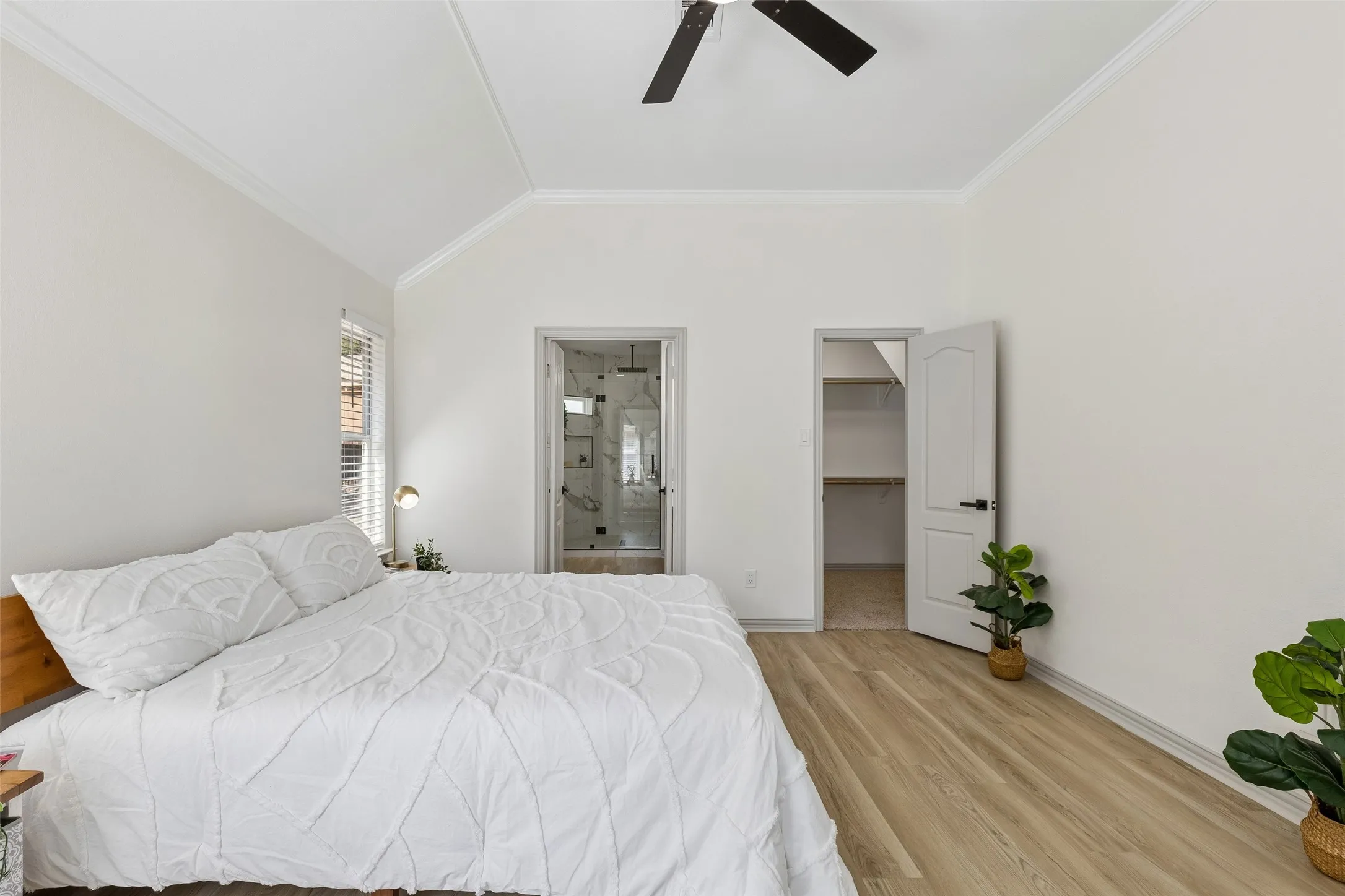 Vaulted ceiling, wood-finish flooring, ceiling fan, walk-in closet, and glass-enclosed shower