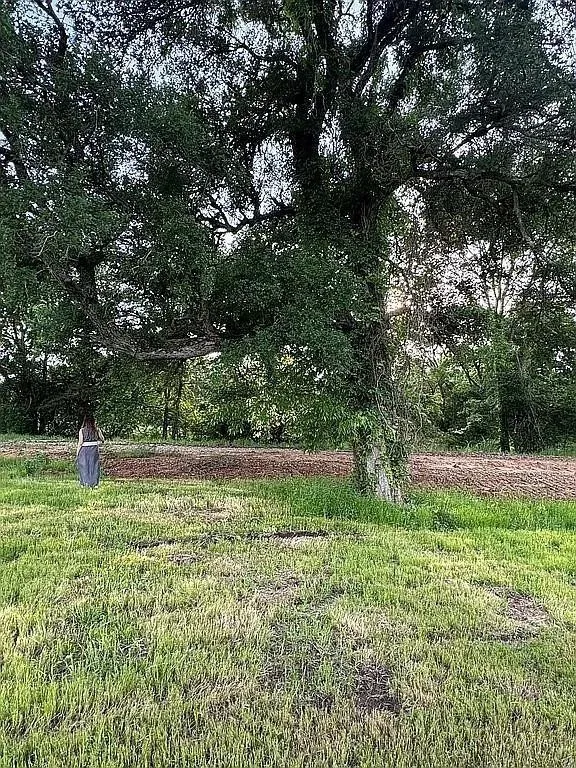 Unimproved Land For Sale in Fannin County , 6 Sunrise Drive, Dodd City, Texas 75438, 0, 0, Garage spaces, 0 Sqft, built in 0, mls#21392695, Real Estate Agent in Dodd City, Homes For Sale in Fannin county, Homes For Sale in Dodd City, Realtor in Dodd City Texas, Real Estate Brokerage Independent Realty Texas, Luminita Cordes Realtor