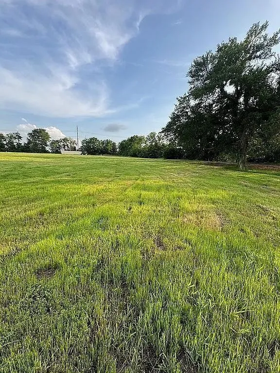 Unimproved Land For Sale in Fannin County , 6 Sunrise Drive, Dodd City, Texas 75438, 0, 0, Garage spaces, 0 Sqft, built in 0, mls#21392695, Real Estate Agent in Dodd City, Homes For Sale in Fannin county, Homes For Sale in Dodd City, Realtor in Dodd City Texas, Real Estate Brokerage Independent Realty Texas, Luminita Cordes Realtor