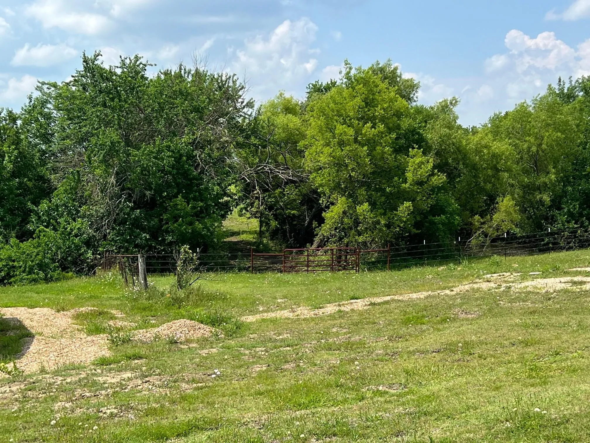 Manufactured Home For Rent in Collin County , 18542 County Road 618, Farmersville, Texas 75442, 4 Bedroom, 2 Bathroom, Garage spaces, 1,600 Sqft, built in 2021, mls#21400733, Real Estate Agent in Farmersville, Homes For Rent in Collin county, Homes For Rent in Farmersville, Realtor in Farmersville Texas, Real Estate Brokerage Independent Realty Texas, Luminita Cordes Realtor