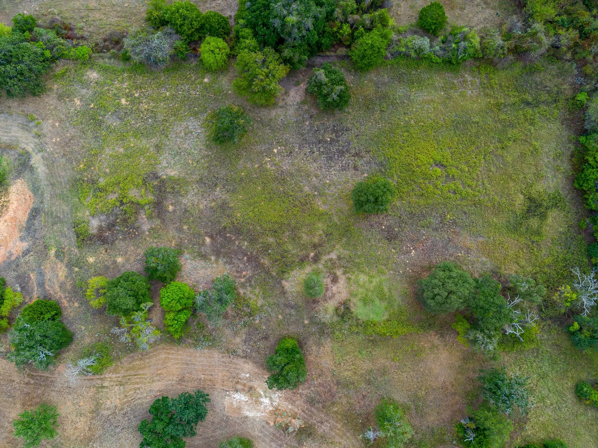 Improved Land For Sale in Johnson County , 7801 Windy Hill Lane, Cross Timbers, Texas 76028, 0, 0, Garage spaces, 0 Sqft, built in 1987, mls#21400735, Real Estate Agent in Cross Timbers, Homes For Sale in Johnson county, Homes For Sale in Cross Timbers, Realtor in Cross Timbers Texas, Real Estate Brokerage Independent Realty Texas, Luminita Cordes Realtor