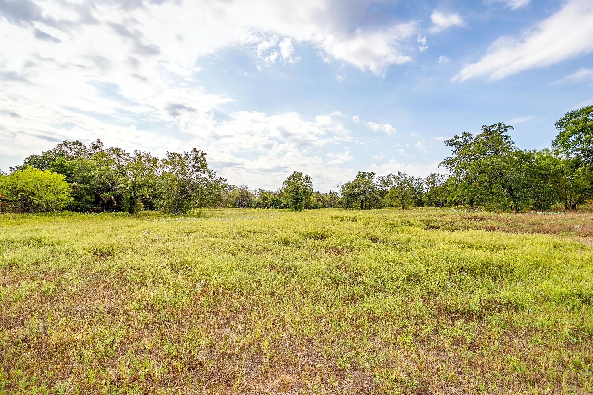 Improved Land For Sale in Johnson County , 7801 Windy Hill Lane, Cross Timbers, Texas 76028, 0, 0, Garage spaces, 0 Sqft, built in 1987, mls#21400735, Real Estate Agent in Cross Timbers, Homes For Sale in Johnson county, Homes For Sale in Cross Timbers, Realtor in Cross Timbers Texas, Real Estate Brokerage Independent Realty Texas, Luminita Cordes Realtor