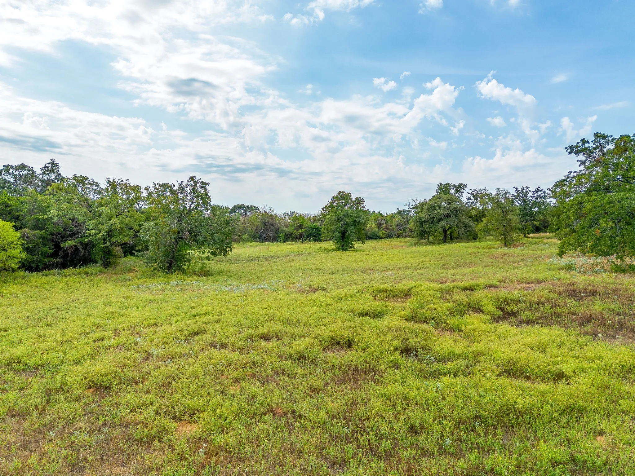Improved Land For Sale in Johnson County , 7801 Windy Hill Lane, Cross Timbers, Texas 76028, 0, 0, Garage spaces, 0 Sqft, built in 1987, mls#21400735, Real Estate Agent in Cross Timbers, Homes For Sale in Johnson county, Homes For Sale in Cross Timbers, Realtor in Cross Timbers Texas, Real Estate Brokerage Independent Realty Texas, Luminita Cordes Realtor
