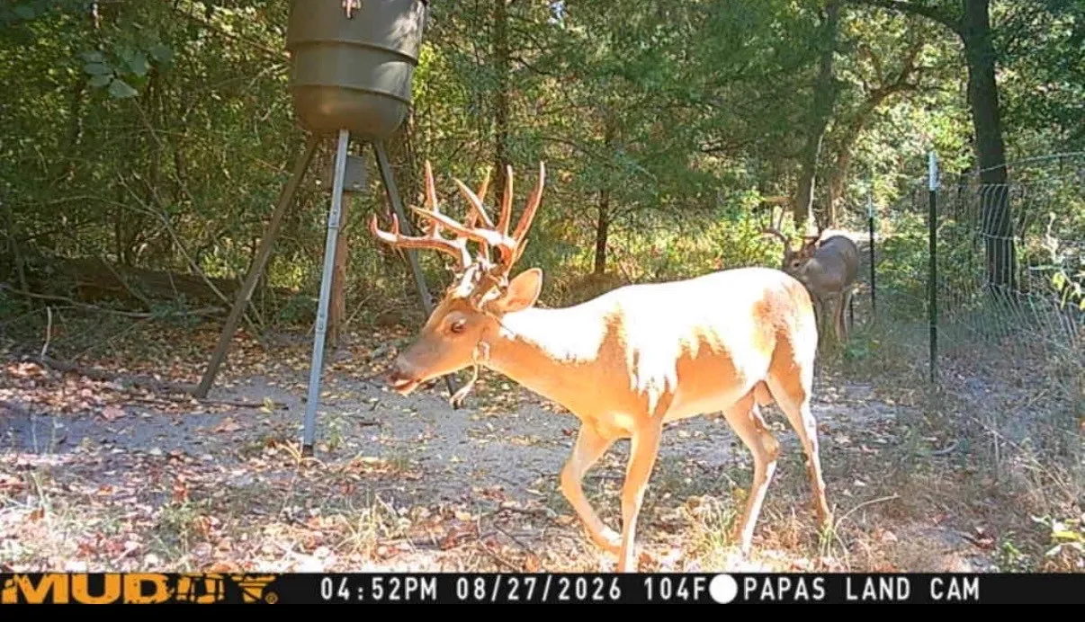 Plenty of wildlife here!