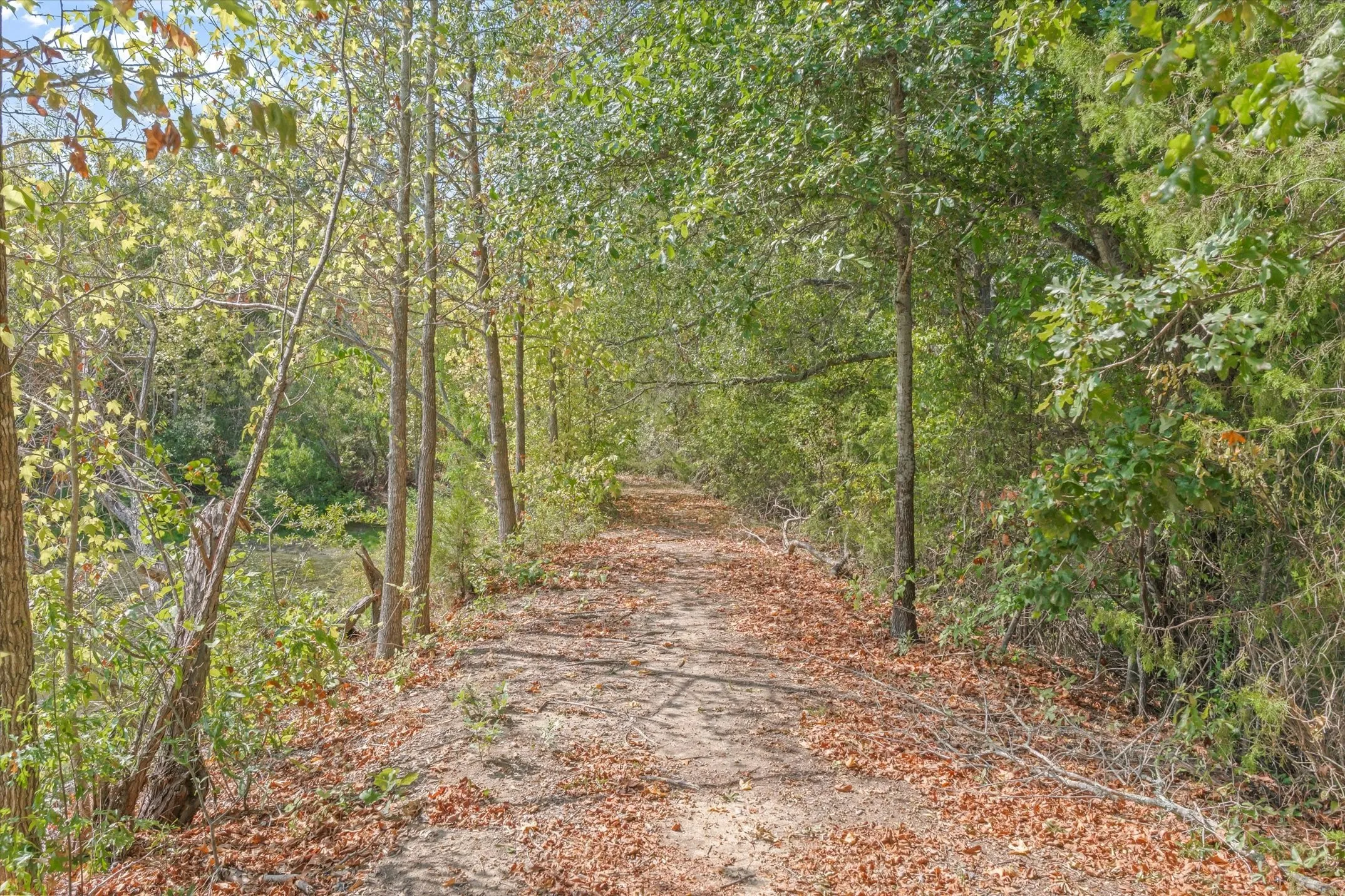 You will want to visit the trails into the woods