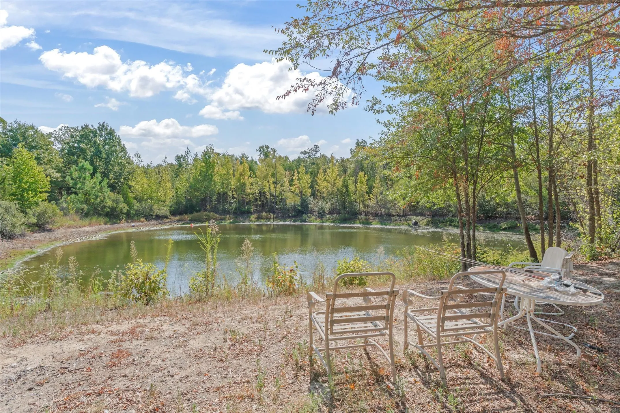 The property line is here at the view of the neighbor's pond