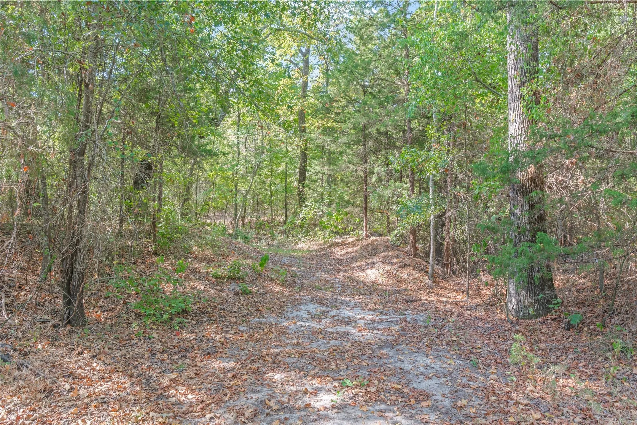 This trail leads to the creek.