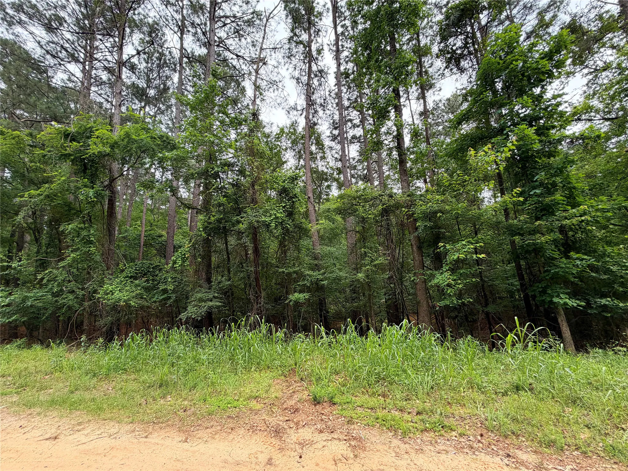 Unimproved Land For Sale in Marion County , 0 Sixth Avenue, Avinger, Texas 75630, 0, 0, Garage spaces, 0 Sqft, built in 0, mls#21400755, Real Estate Agent in Avinger, Homes For Sale in Marion county, Homes For Sale in Avinger, Realtor in Avinger Texas, Real Estate Brokerage Independent Realty Texas, Luminita Cordes Realtor