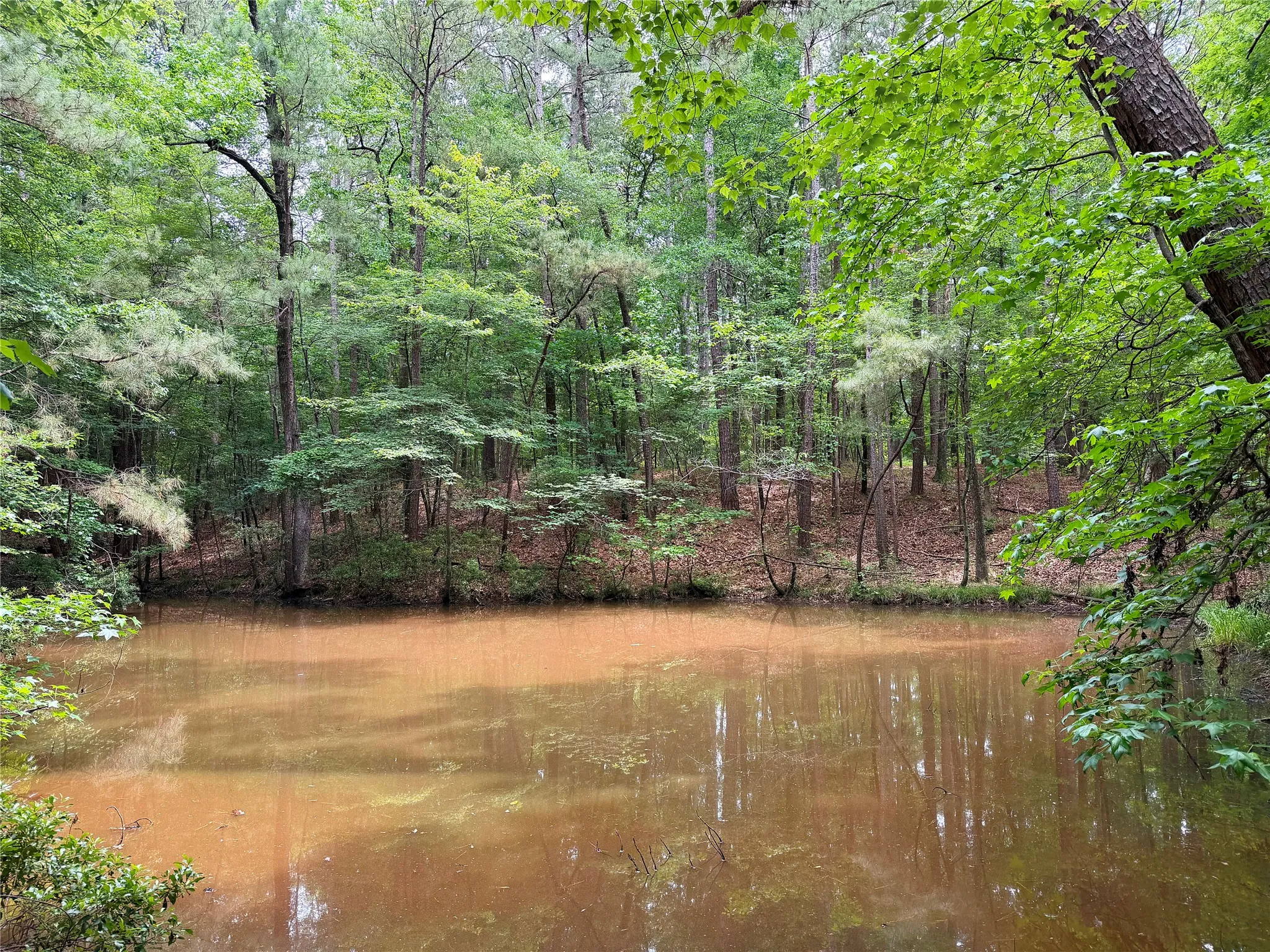 Unimproved Land For Sale in Marion County , 0 Sixth Avenue, Avinger, Texas 75630, 0, 0, Garage spaces, 0 Sqft, built in 0, mls#21400755, Real Estate Agent in Avinger, Homes For Sale in Marion county, Homes For Sale in Avinger, Realtor in Avinger Texas, Real Estate Brokerage Independent Realty Texas, Luminita Cordes Realtor
