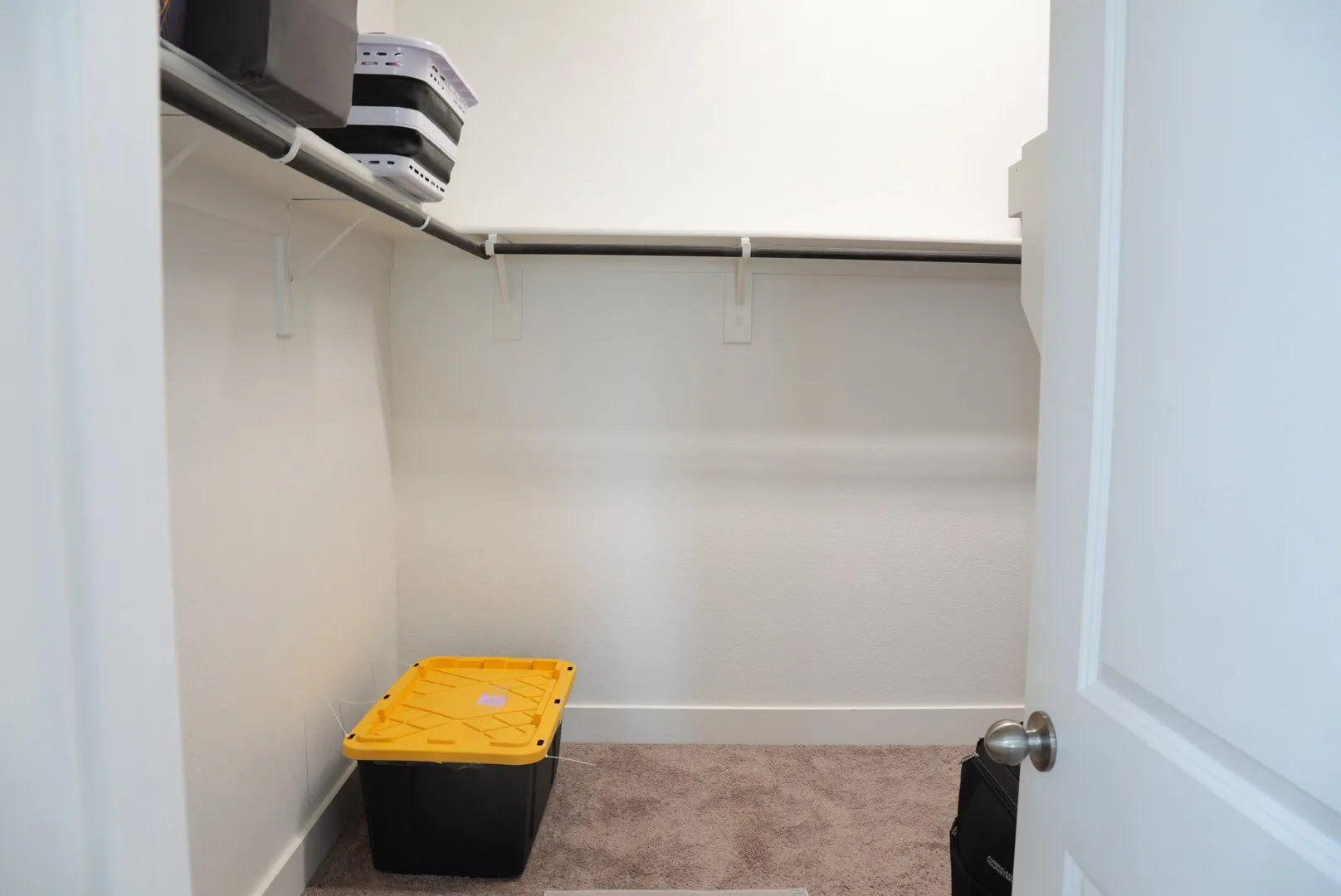 Recessed closet with a carpeted floor, white walls, and a built-in hanging rod